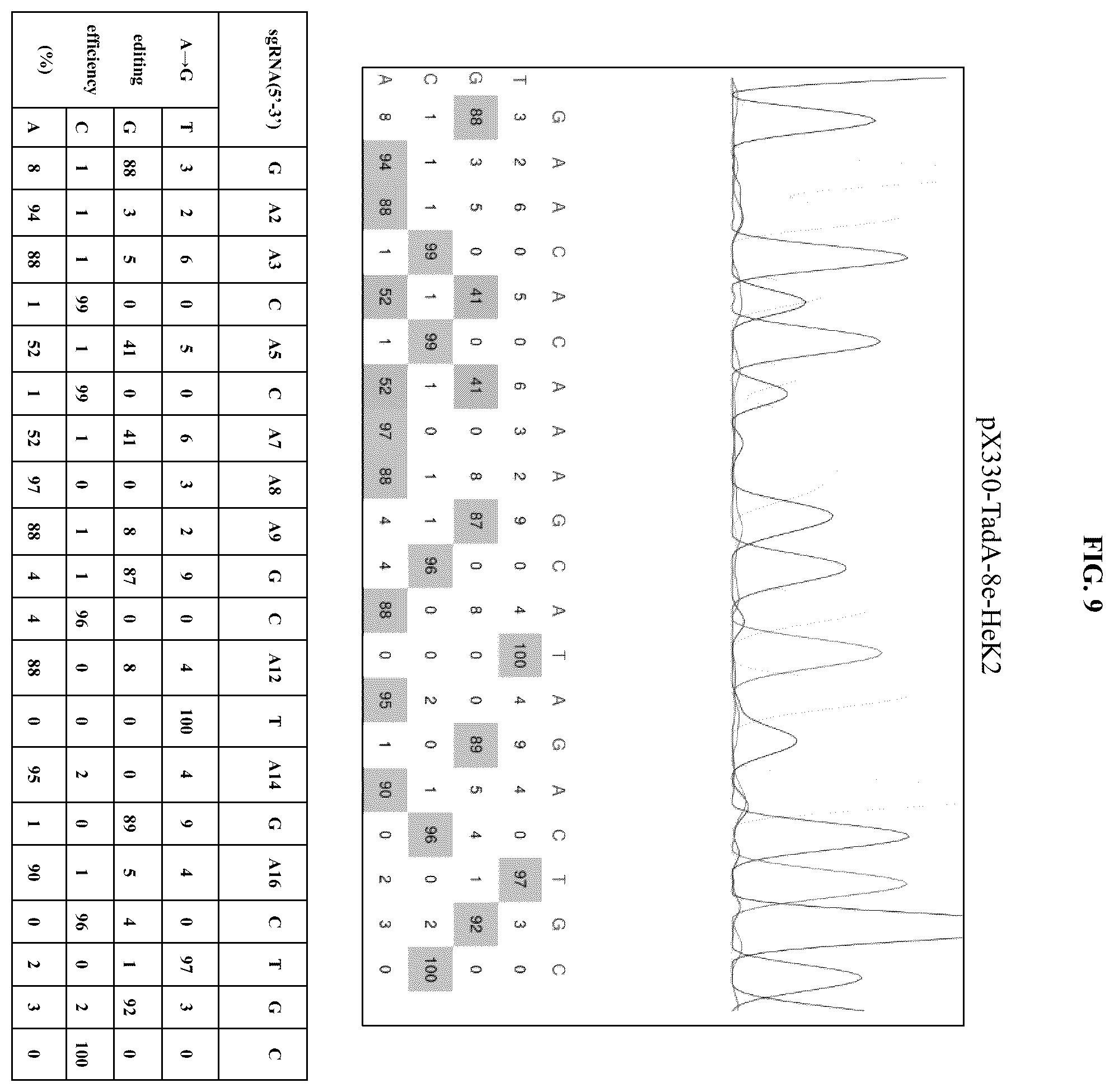Patent US12129478 Figure 16 – Engineered adenosine deaminases and base editors thereof