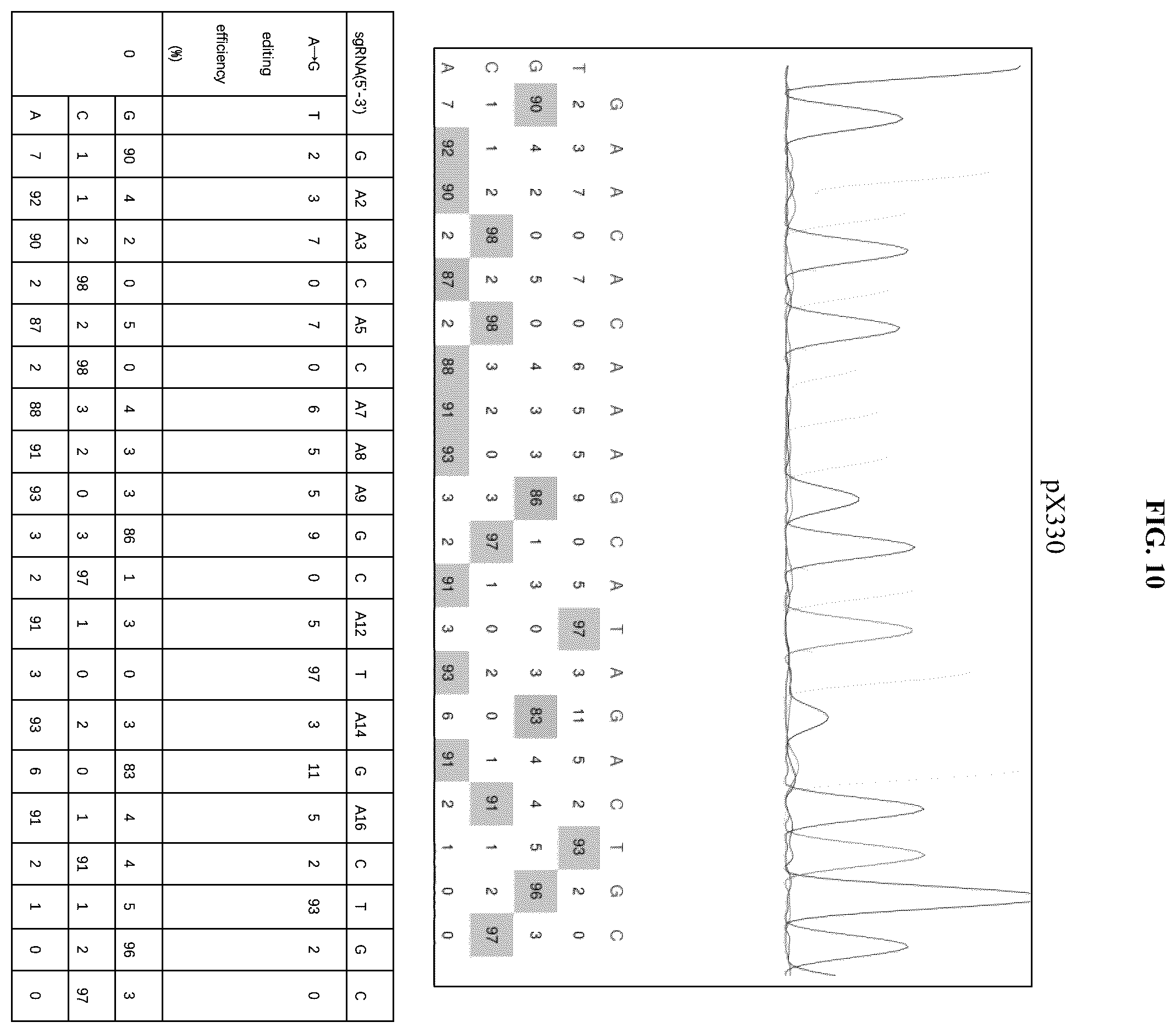 Patent US12129478 Figure 17 – Engineered adenosine deaminases and base editors thereof