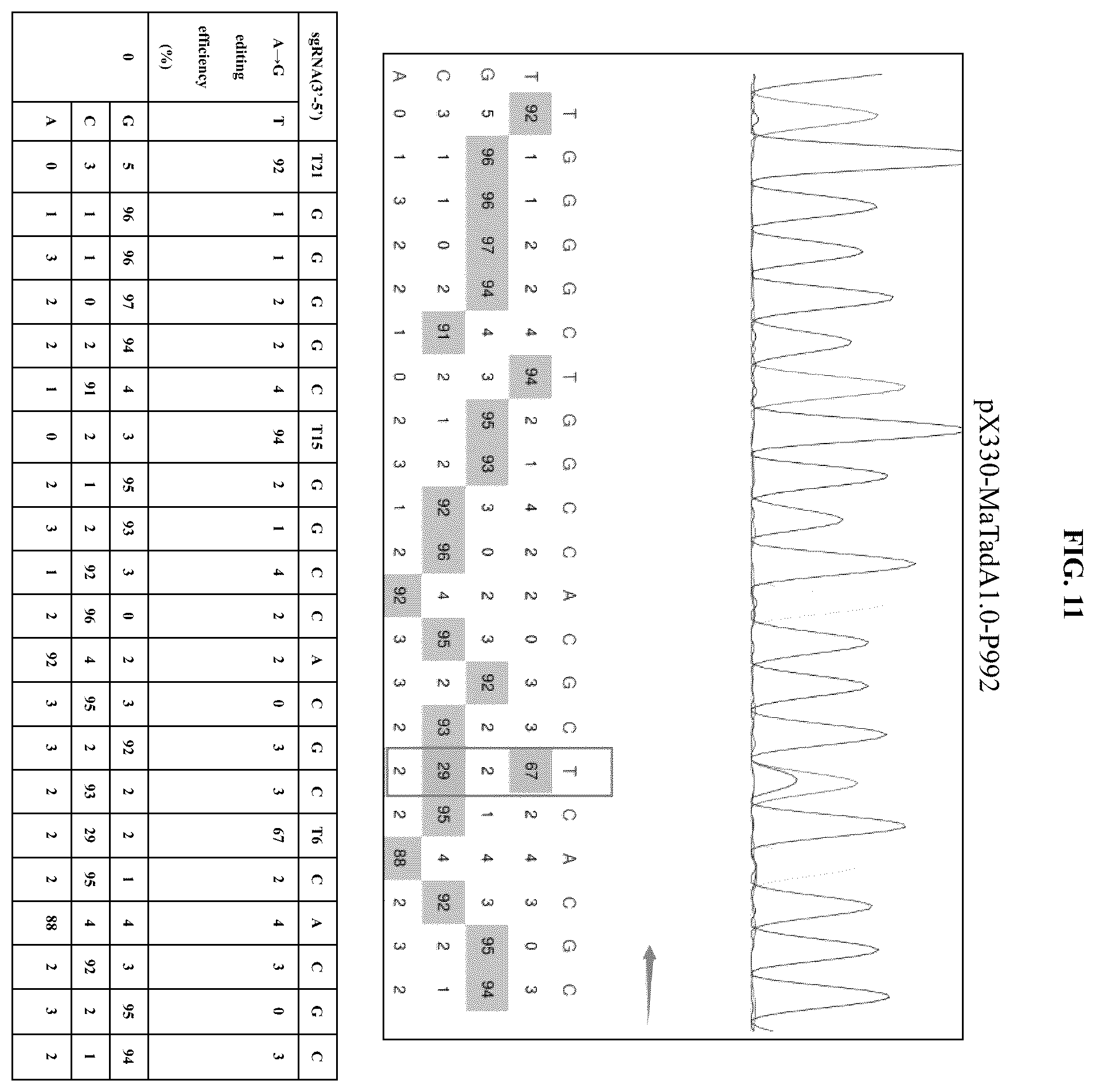 Patent US12129478 Figure 18 – Engineered adenosine deaminases and base editors thereof
