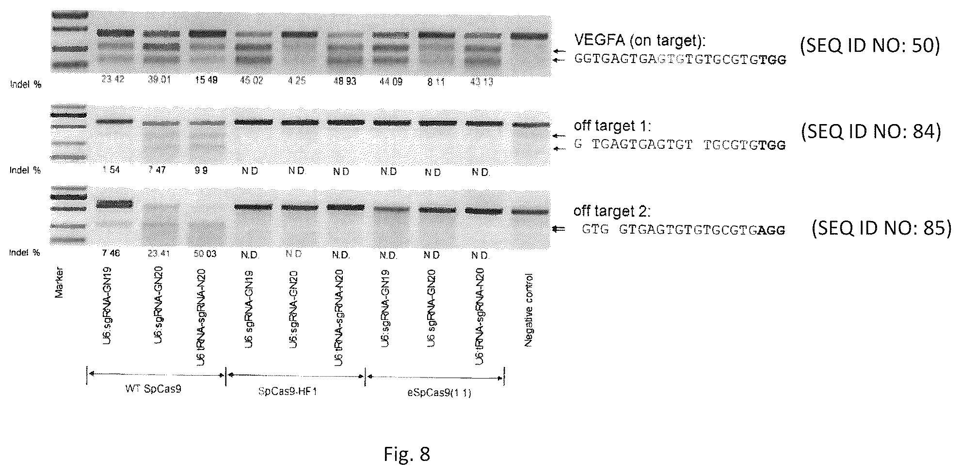 Patent US12129479 Figure 8 – Genome editing method