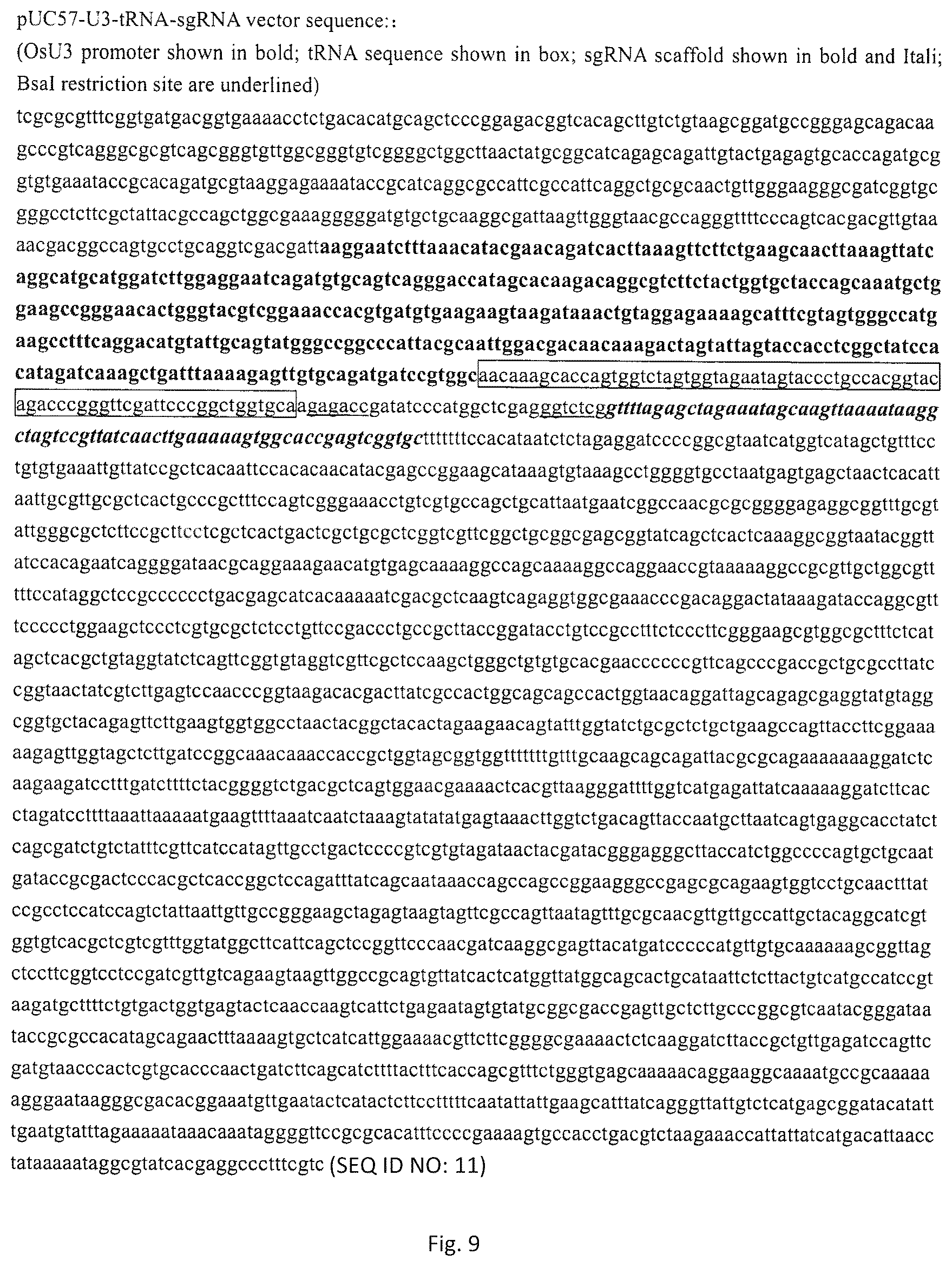 Patent US12129479 Figure 9 – Genome editing method