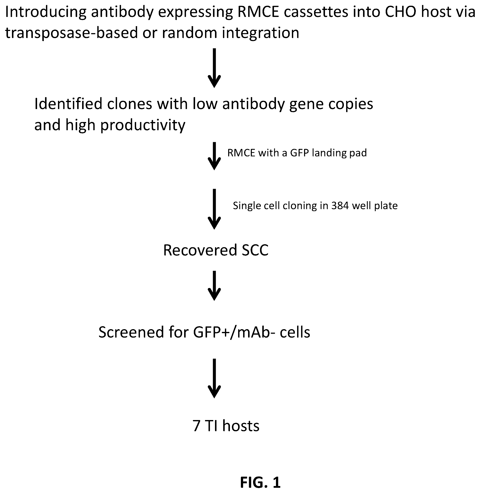 Patent US12129480 Figure 1 – Targeted integration of nucleic acids