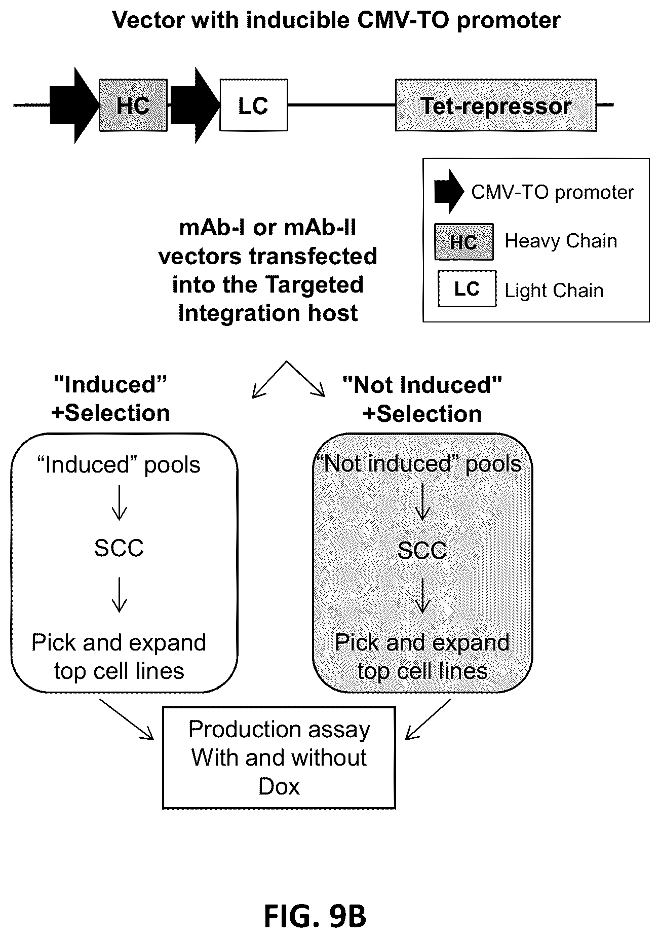 Patent US12129480 Figure 10 – Targeted integration of nucleic acids