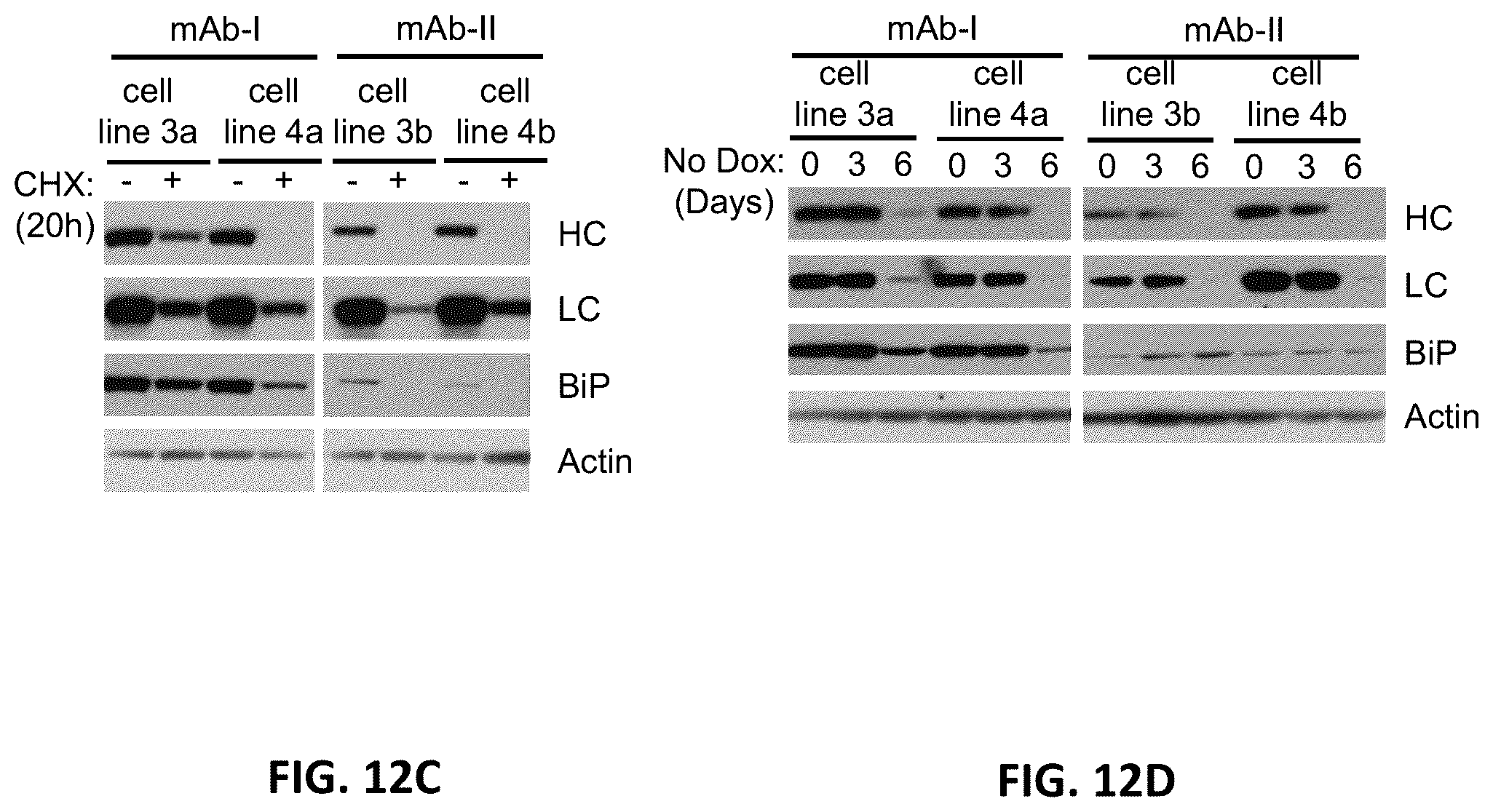 Patent US12129480 Figure 15 – Targeted integration of nucleic acids