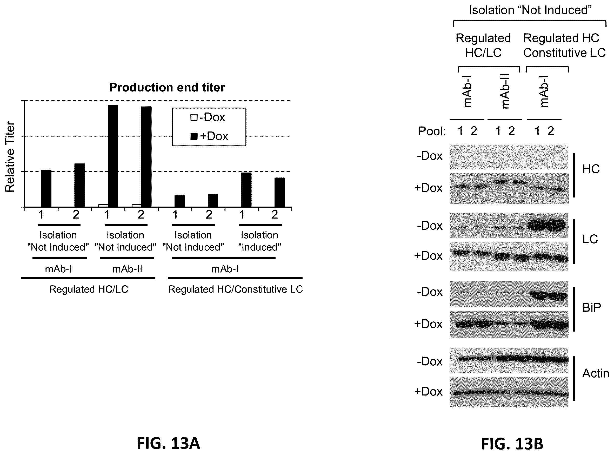 Patent US12129480 Figure 16 – Targeted integration of nucleic acids