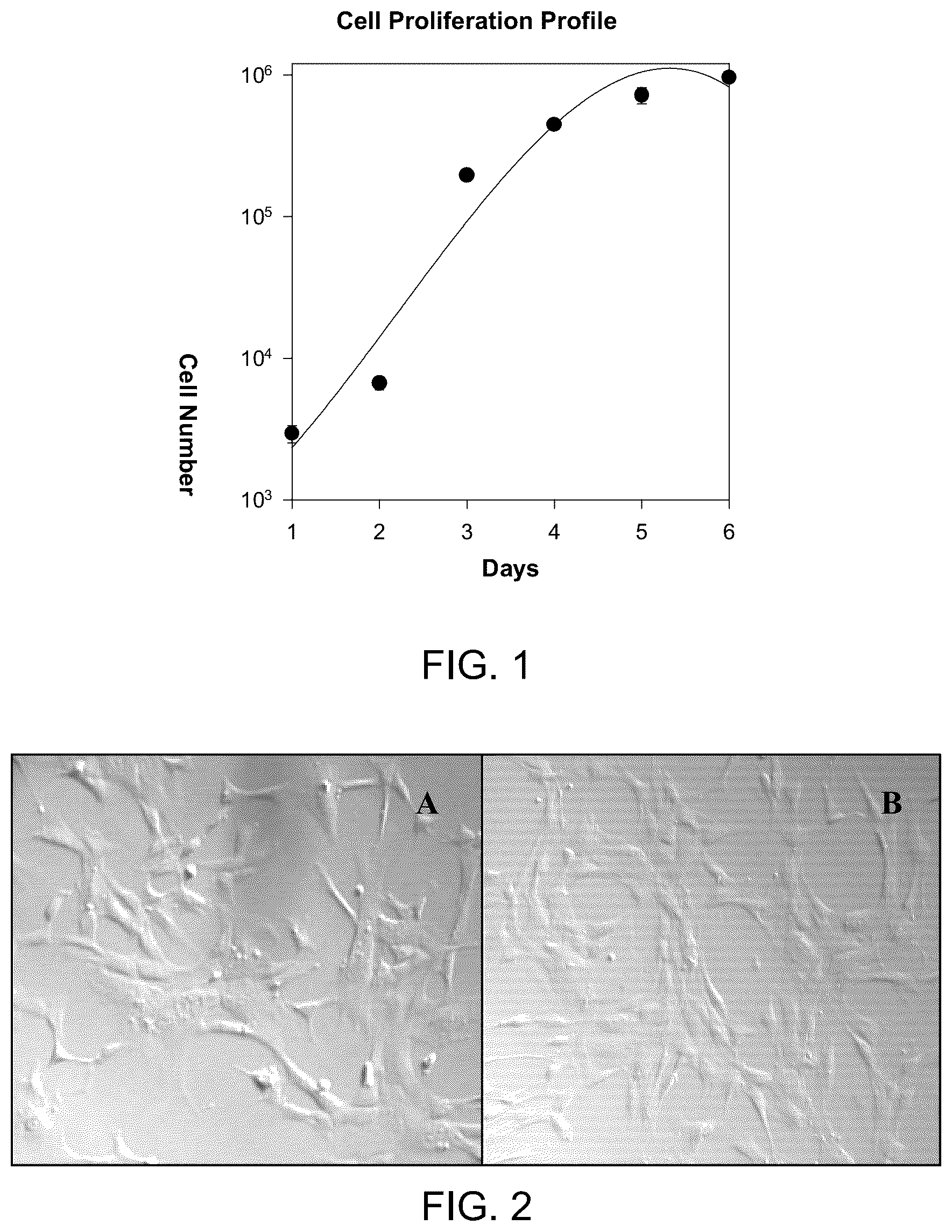 Patent US12129481 — Use of cells derived from first trimester umbilical cord tissue — Figure 1