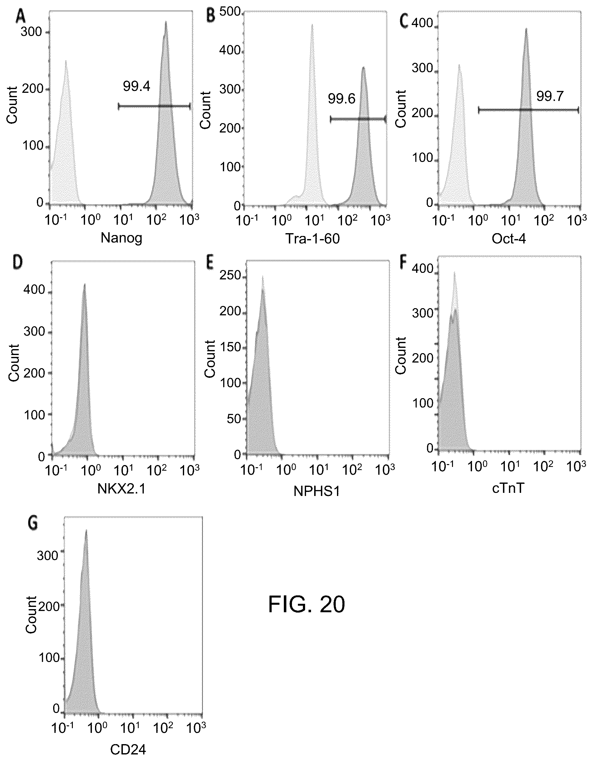 Patent US12129481 Figure 14 – Use of cells derived from first trimester umbilical cord tissue