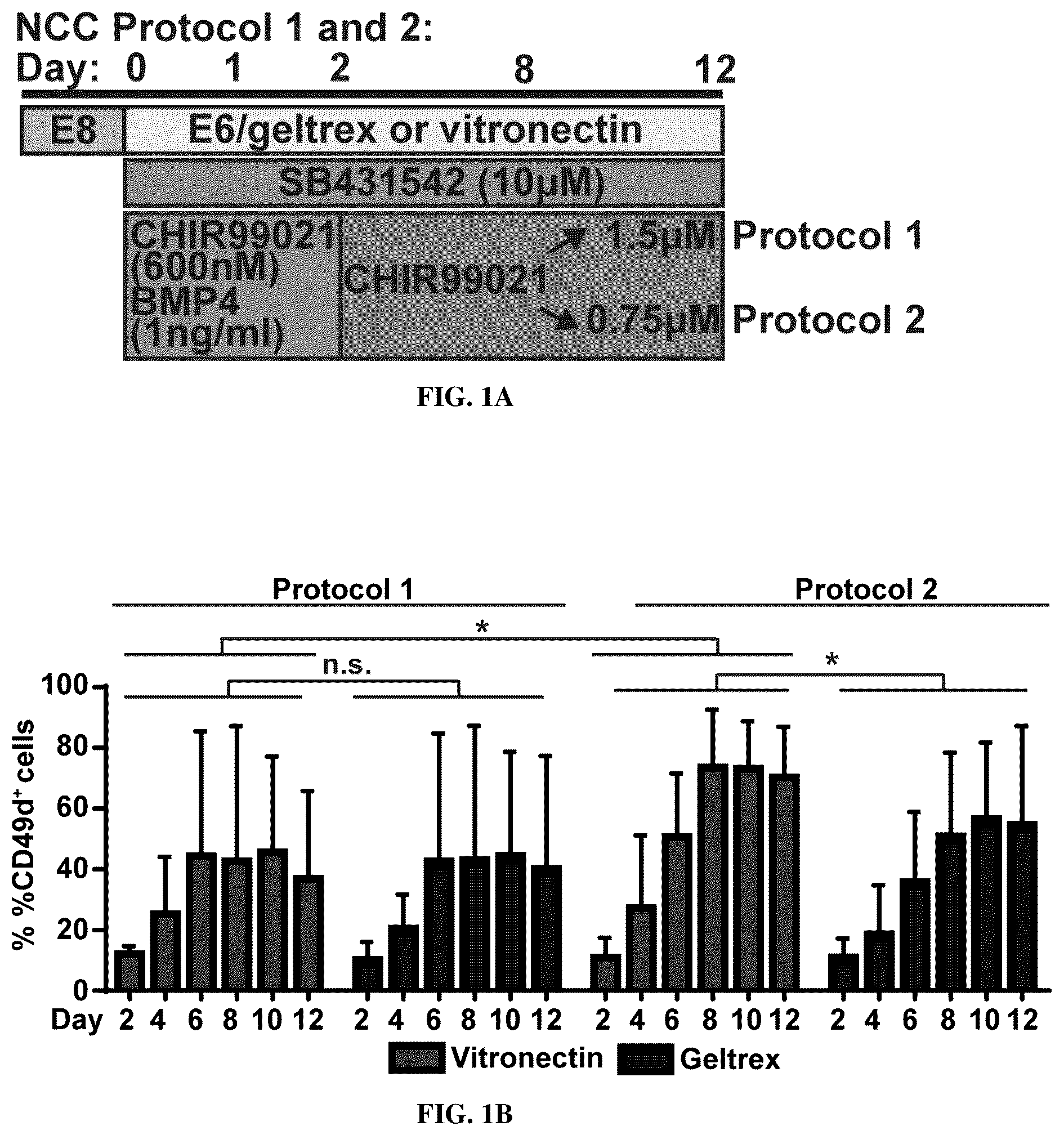 Patent US12129483 Figure 1 – Compositions and methods for making sensory neurons