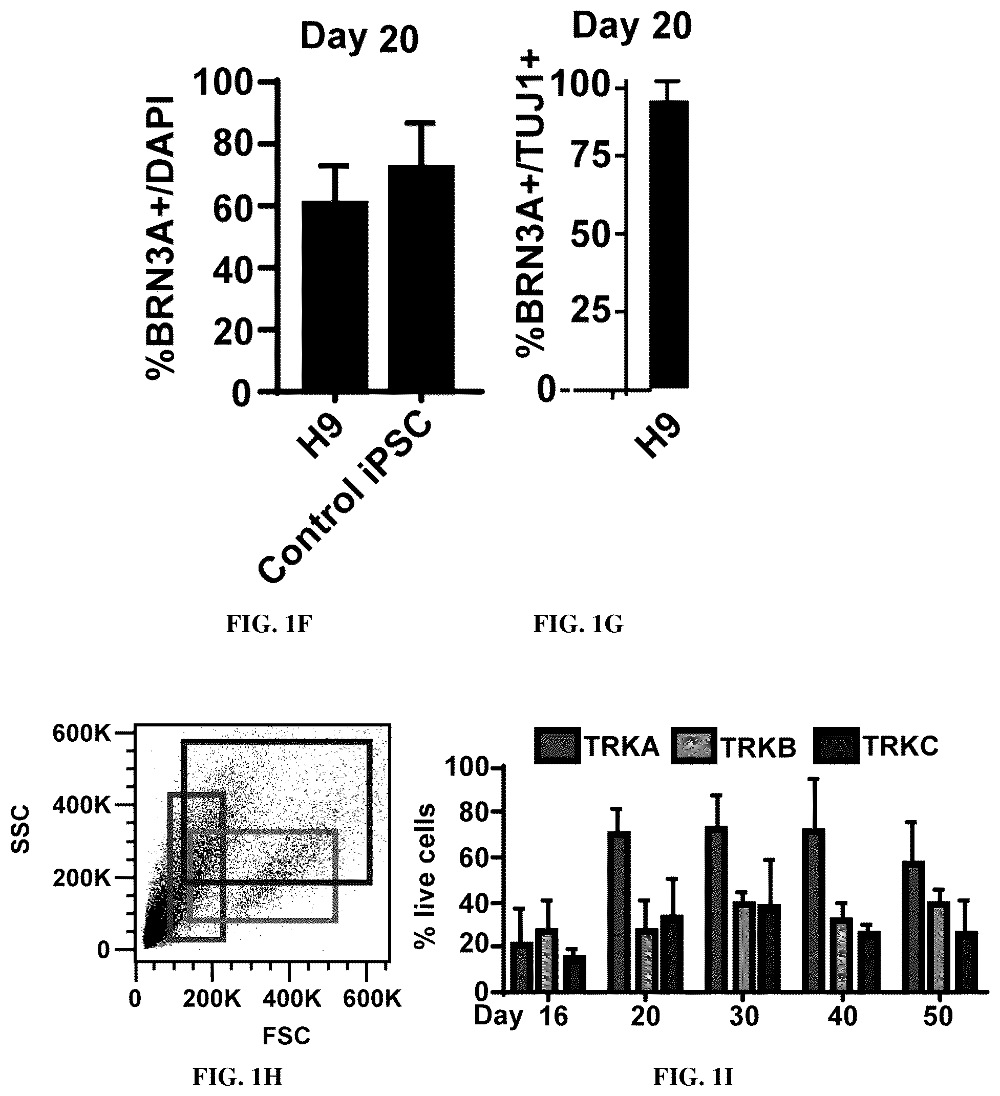 Patent US12129483 Figure 4 – Compositions and methods for making sensory neurons