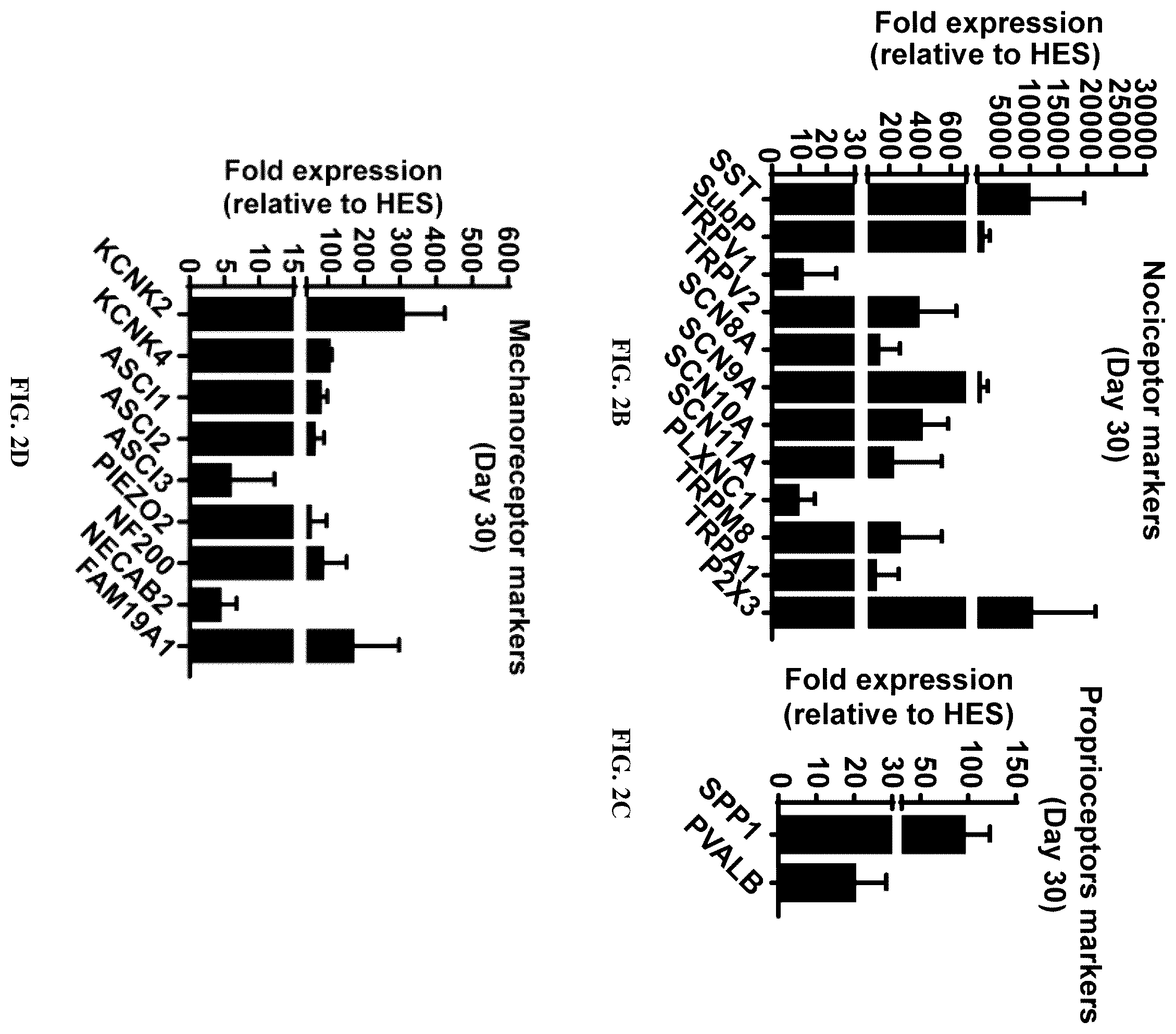 Patent US12129483 Figure 6 – Compositions and methods for making sensory neurons