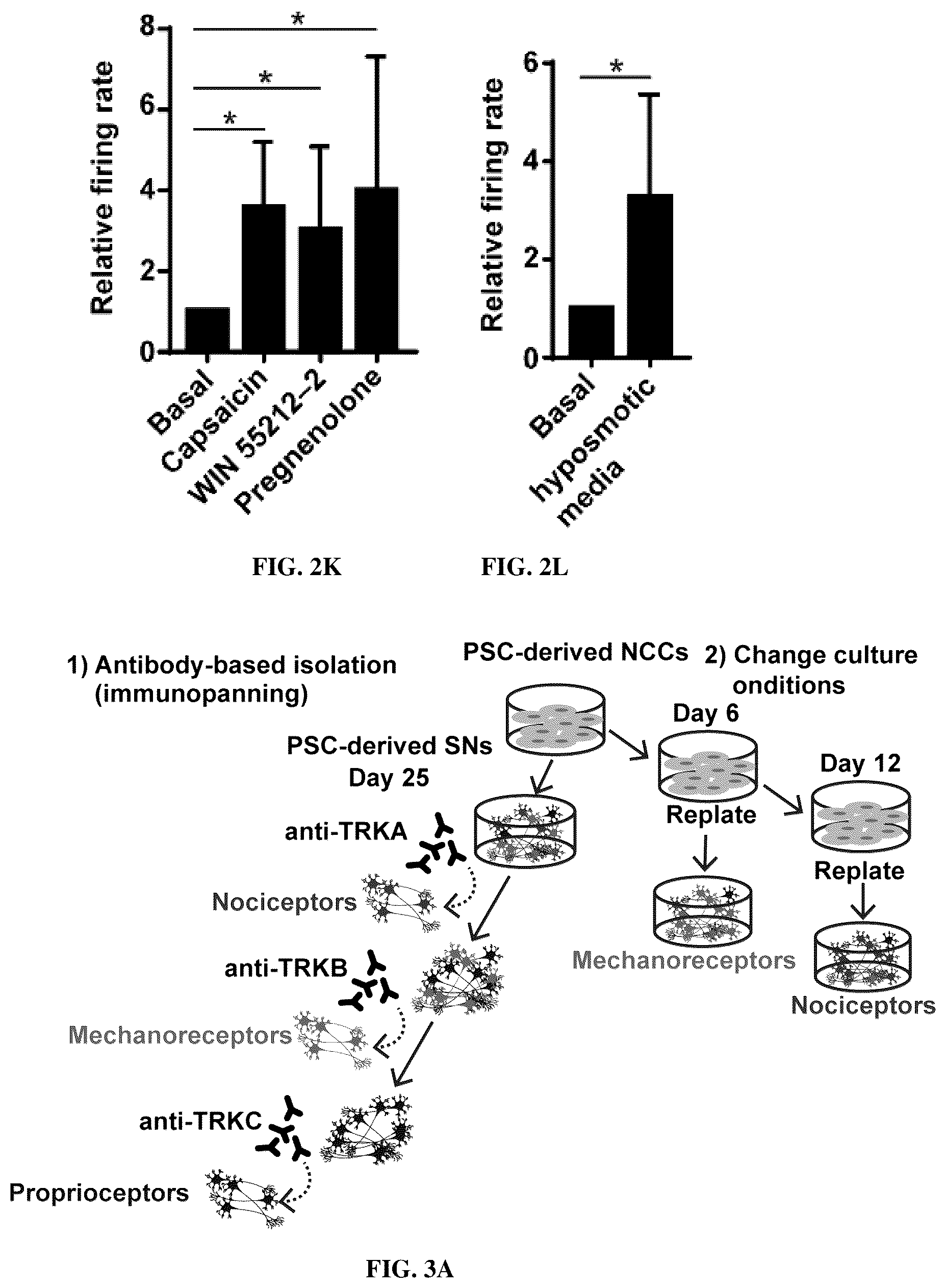 Patent US12129483 Figure 9 – Compositions and methods for making sensory neurons