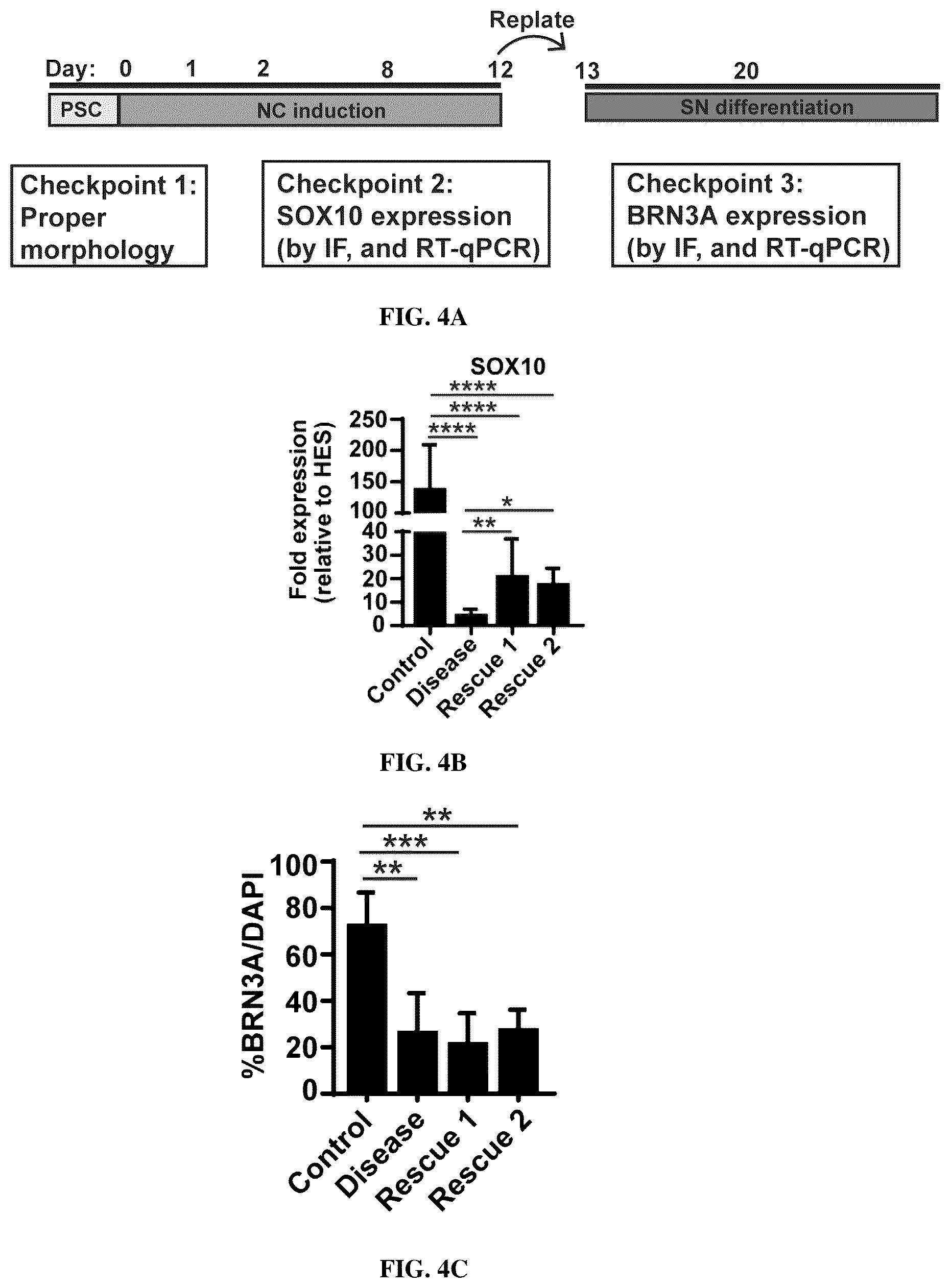 Patent US12129483 Figure 12 – Compositions and methods for making sensory neurons