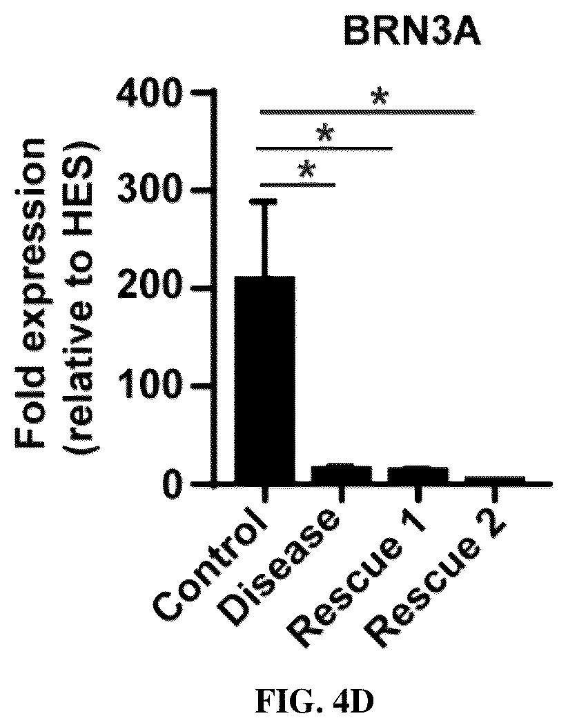 Patent US12129483 Figure 13 – Compositions and methods for making sensory neurons