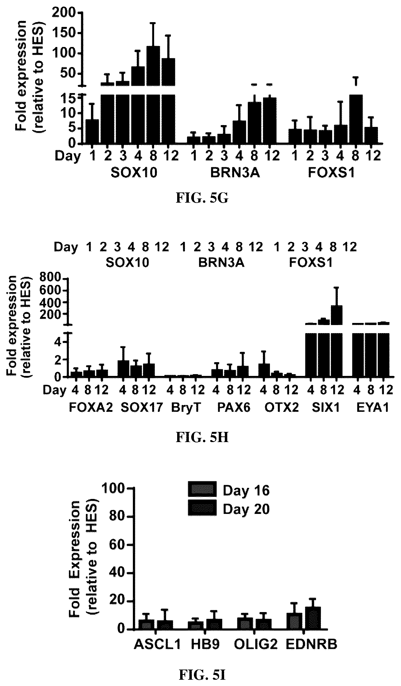 Patent US12129483 Figure 16 – Compositions and methods for making sensory neurons