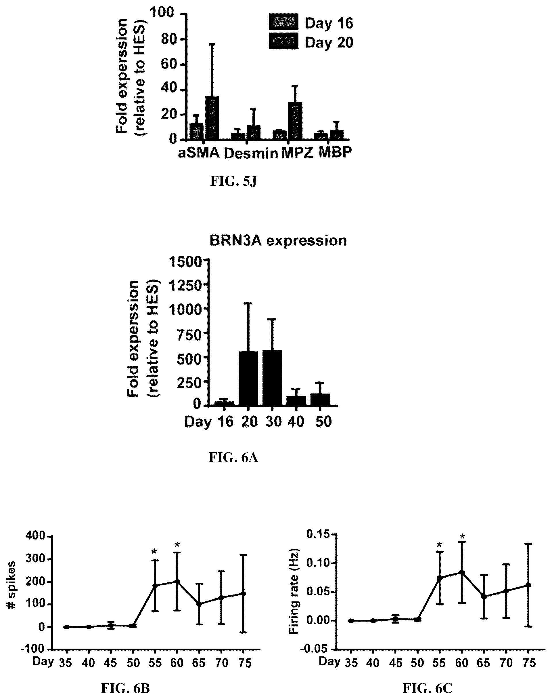 Patent US12129483 Figure 17 – Compositions and methods for making sensory neurons