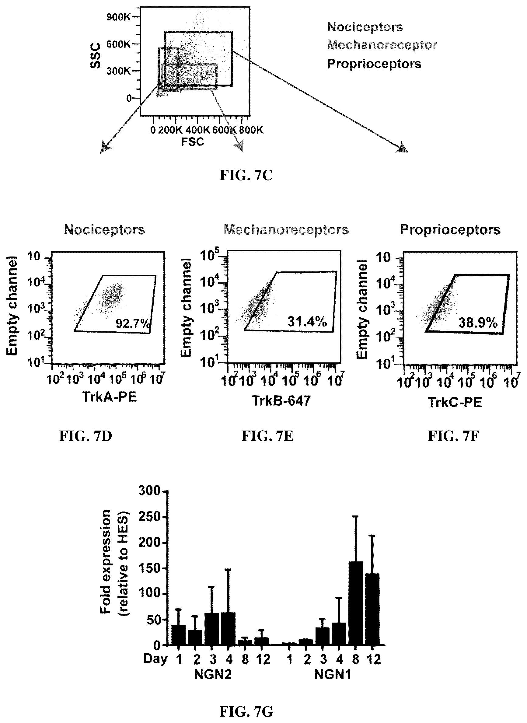 Patent US12129483 Figure 19 – Compositions and methods for making sensory neurons