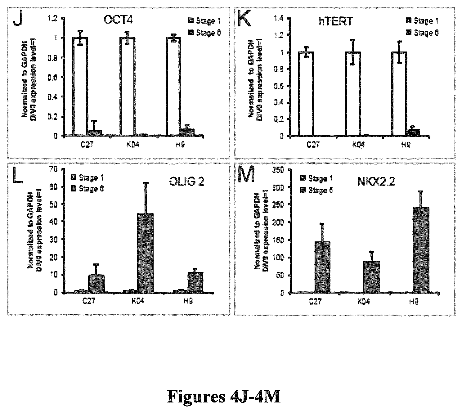 Patent US12129484 Figure 5 – Induced pluripotent cell-derived oligodendrocyte progenitor cells for the treatment of myelin disorders