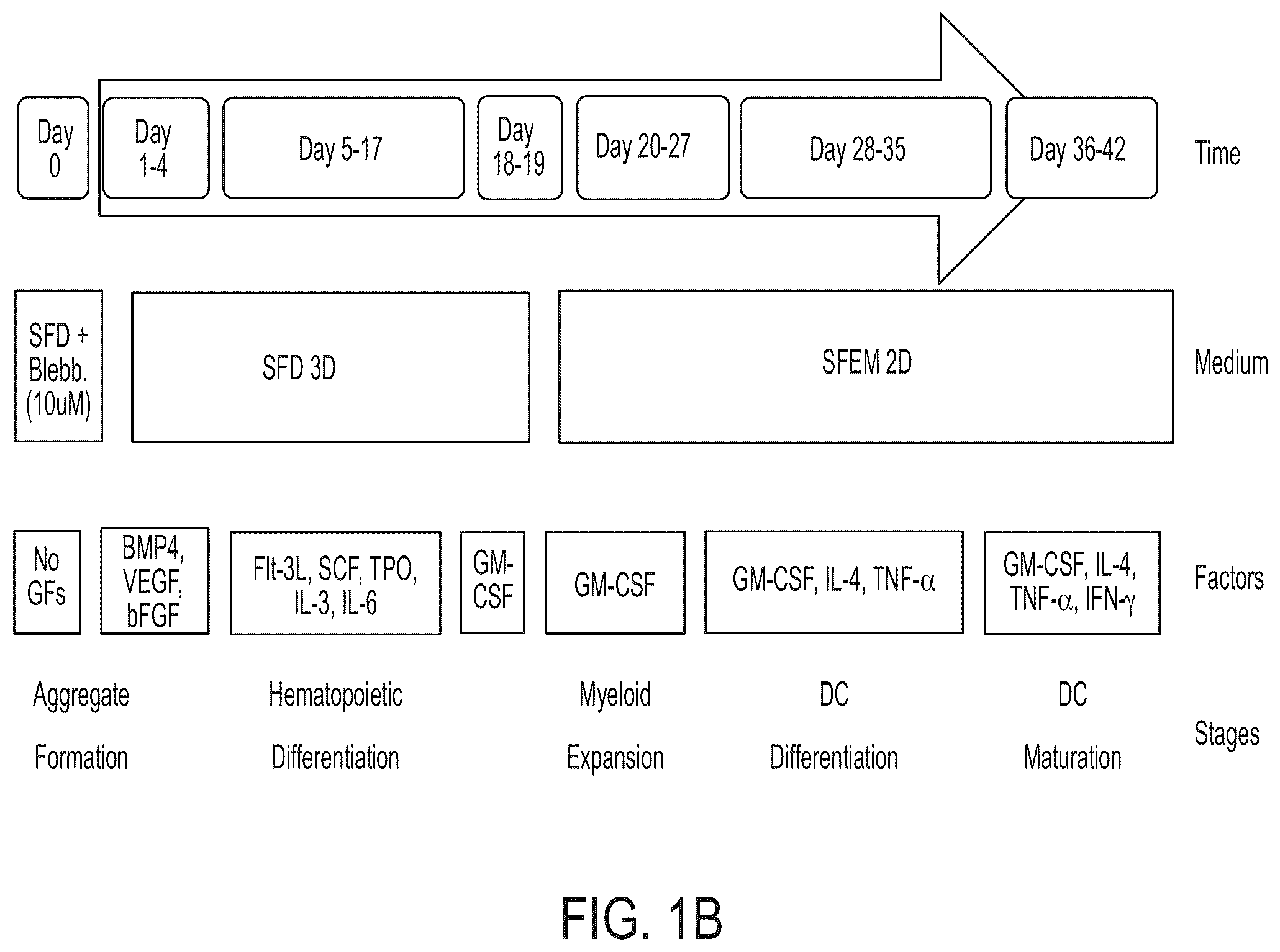 Patent US12129486 Figure 2 – Methods for directed differentiation of pluripotent stem cells to immune cells