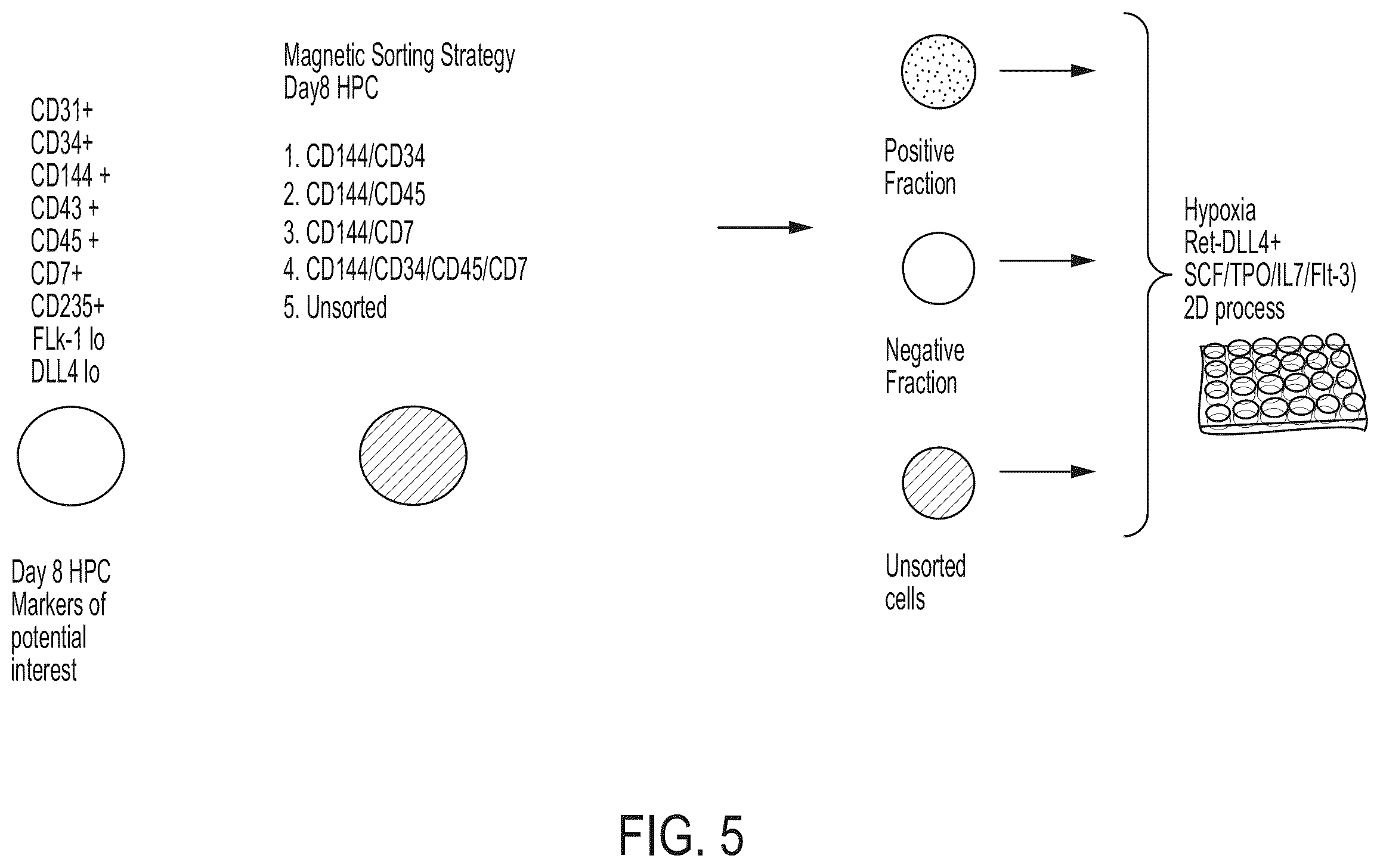 Patent US12129486 Figure 12 – Methods for directed differentiation of pluripotent stem cells to immune cells