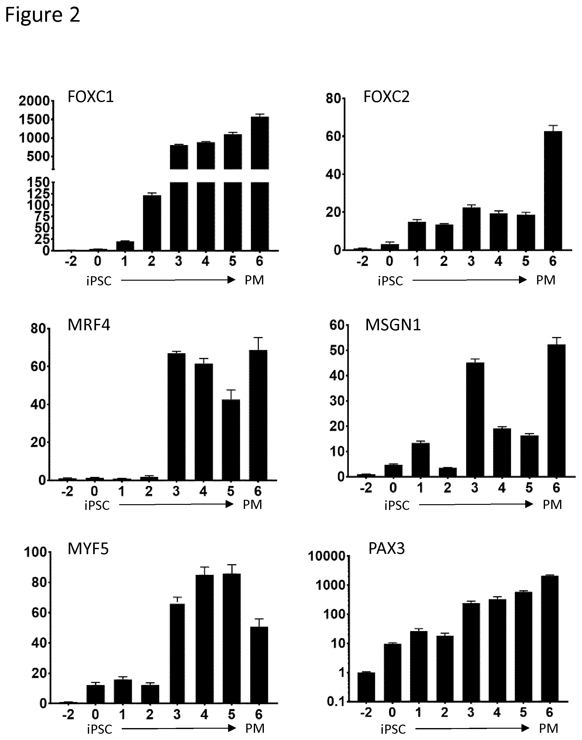 Patent US12129488 Figure 2 – Production of brown adipocytes