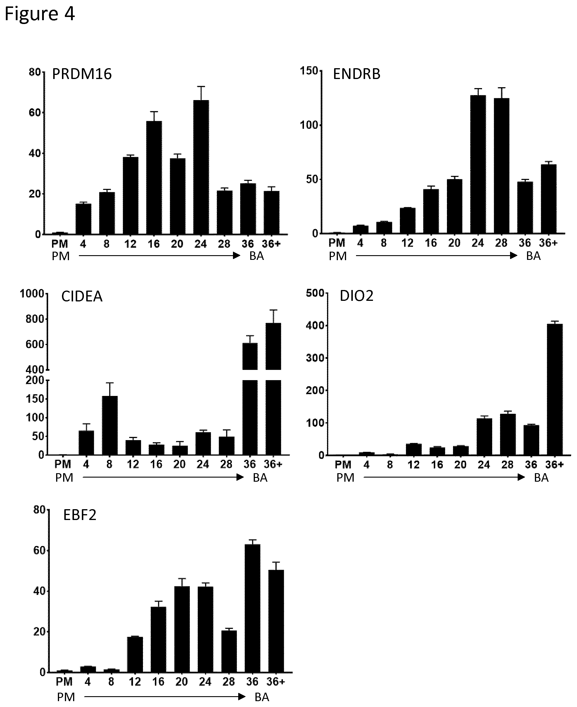 Patent US12129488 Figure 4 – Production of brown adipocytes