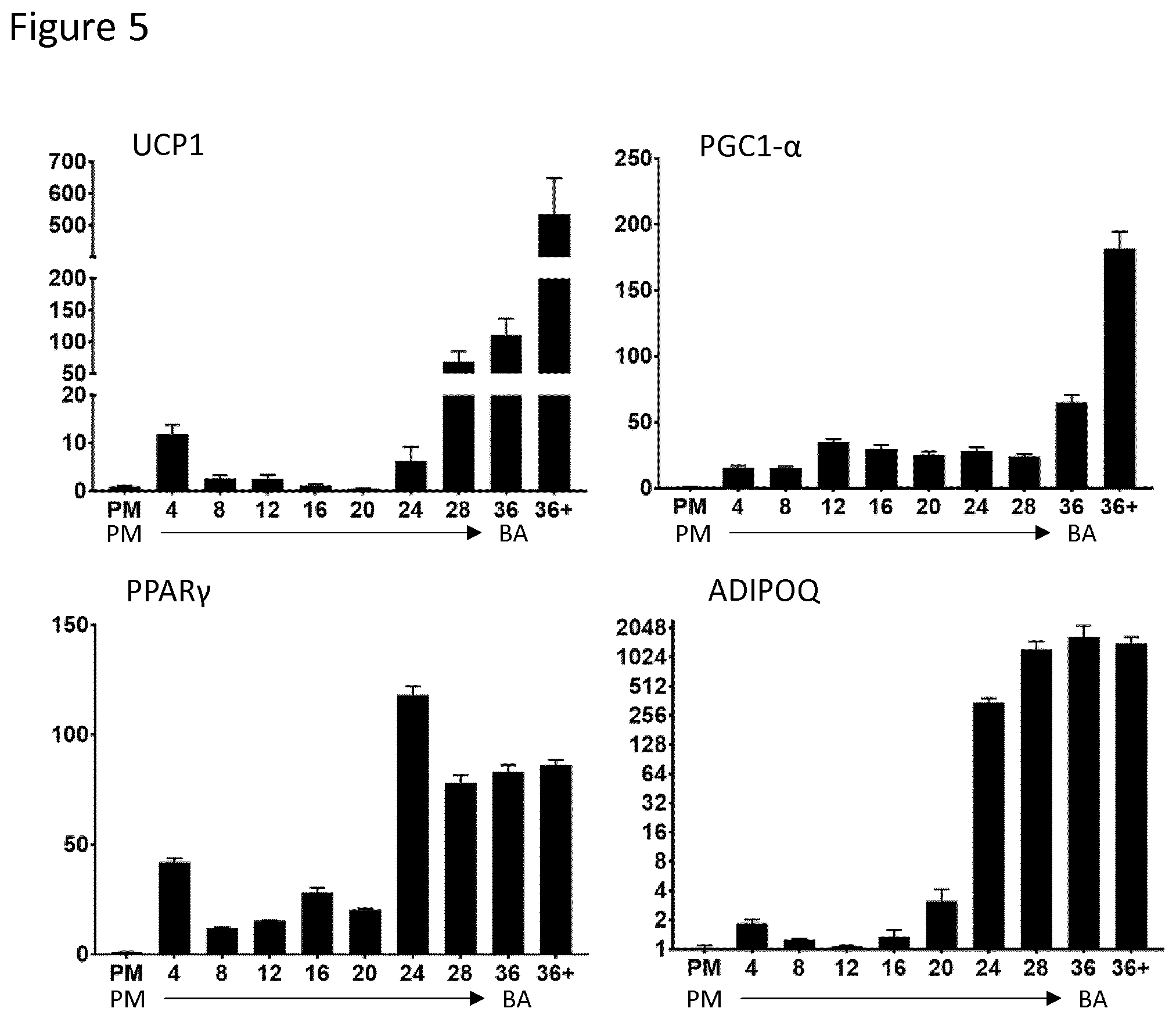 Patent US12129488 Figure 5 – Production of brown adipocytes