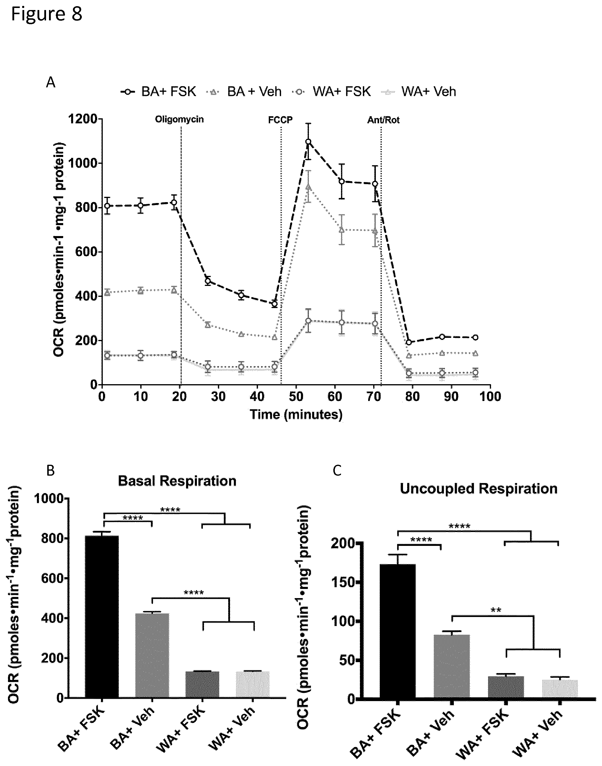 Patent US12129488 Figure 8 – Production of brown adipocytes