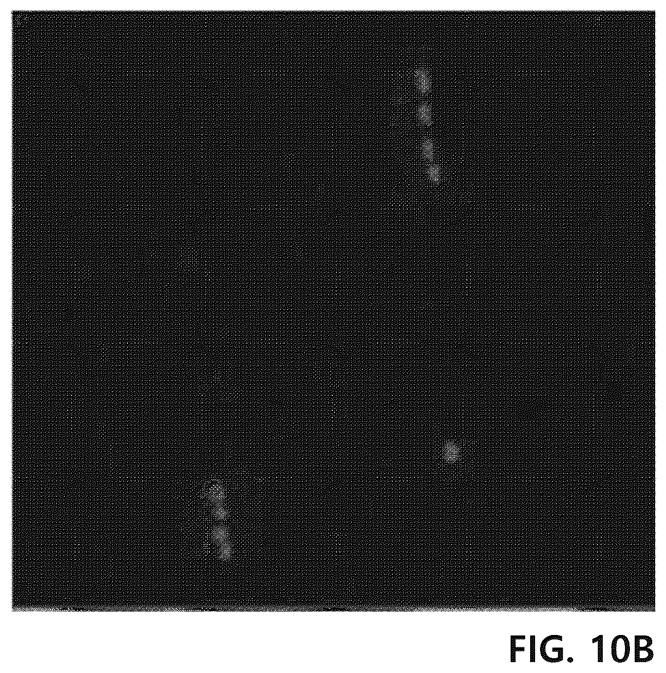 Patent US12129489 Figure 8 – Yarn for cell culture scaffold, ply yarn comprising same and fabric comprising the same