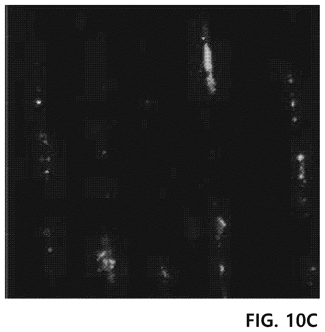 Patent US12129489 Figure 9 – Yarn for cell culture scaffold, ply yarn comprising same and fabric comprising the same
