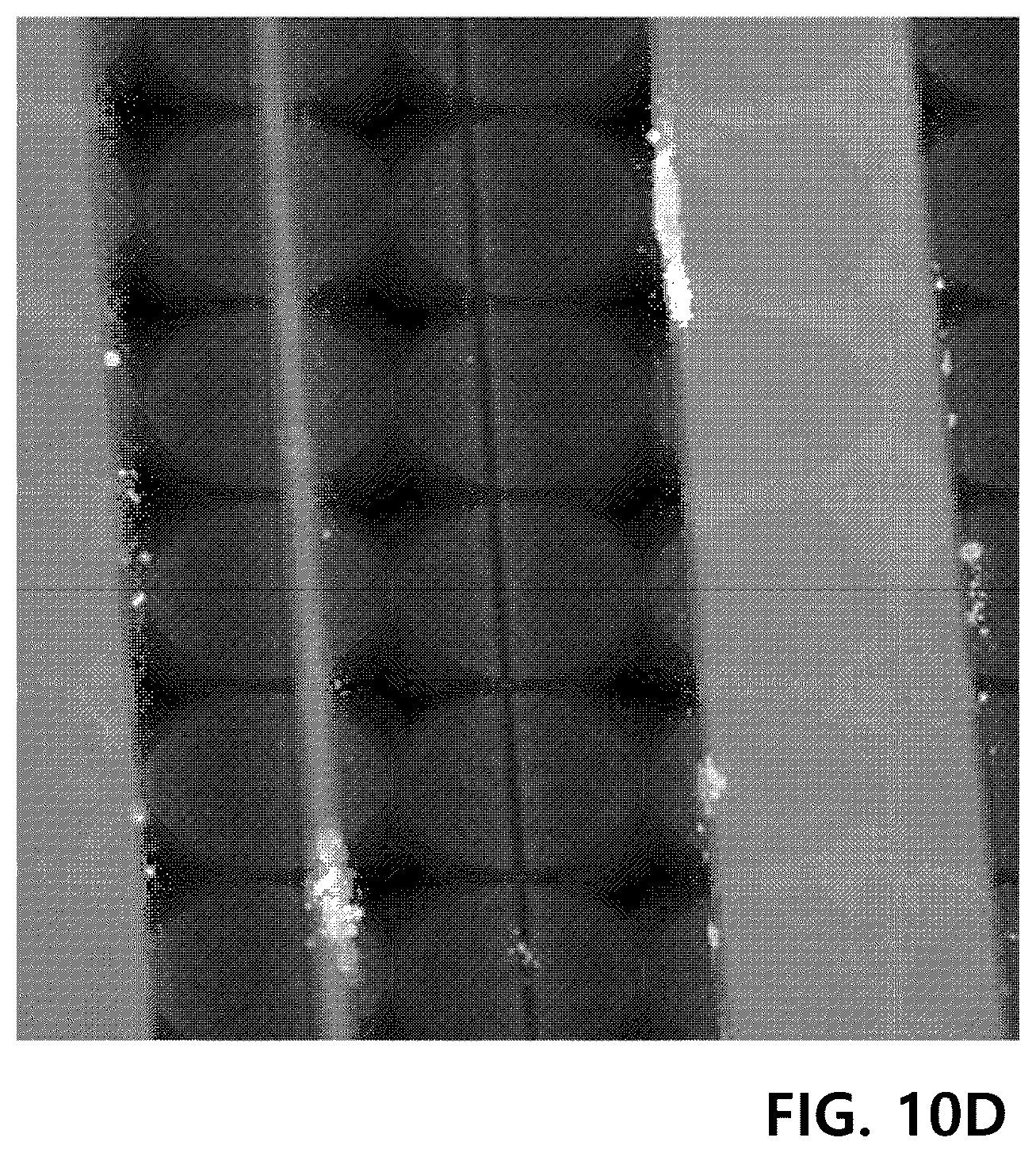 Patent US12129489 Figure 10 – Yarn for cell culture scaffold, ply yarn comprising same and fabric comprising the same