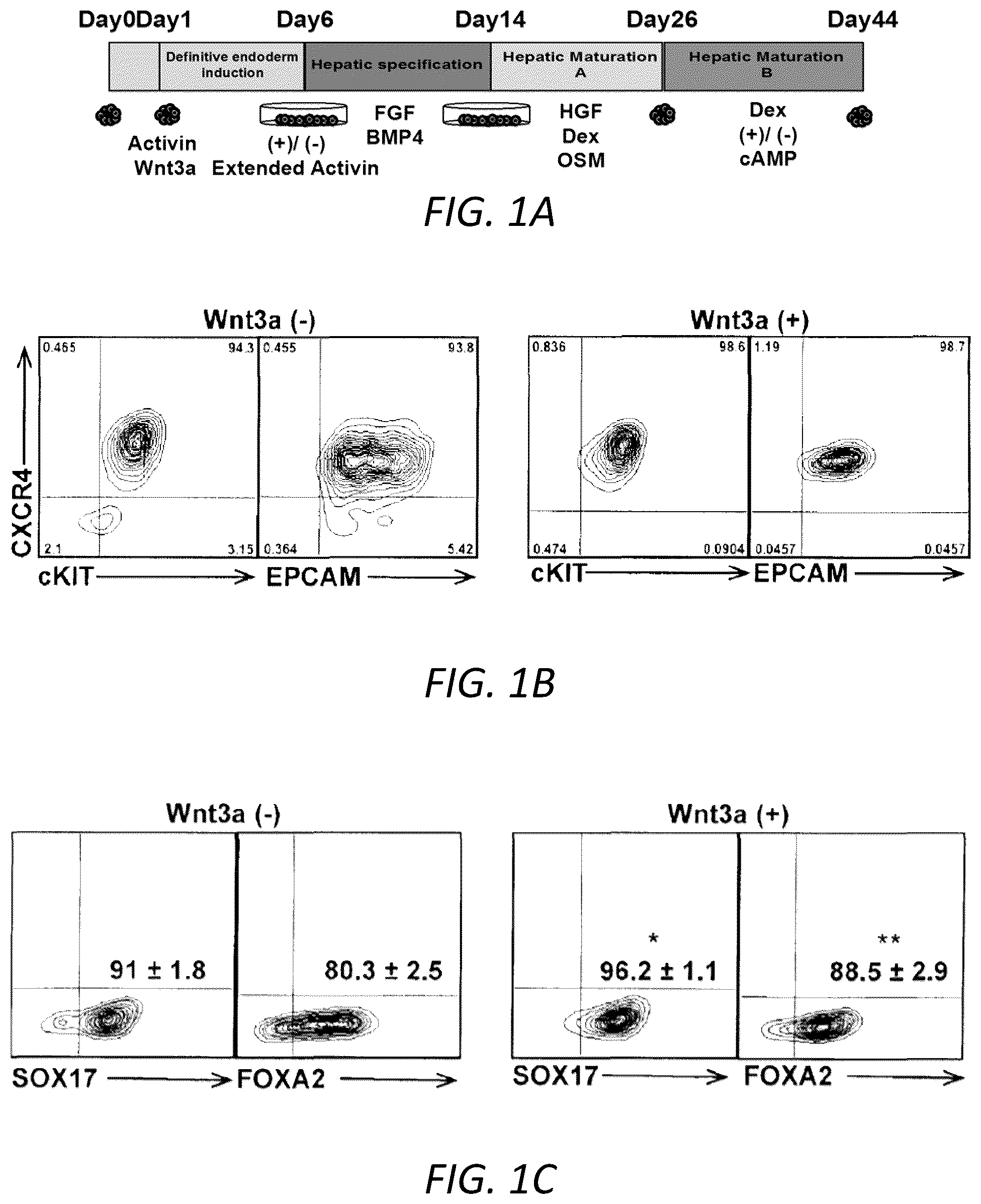 Patent US12129490 Figure 1 – Methods for generating hepatocytes and cholangiocytes from pluripotent stem cells