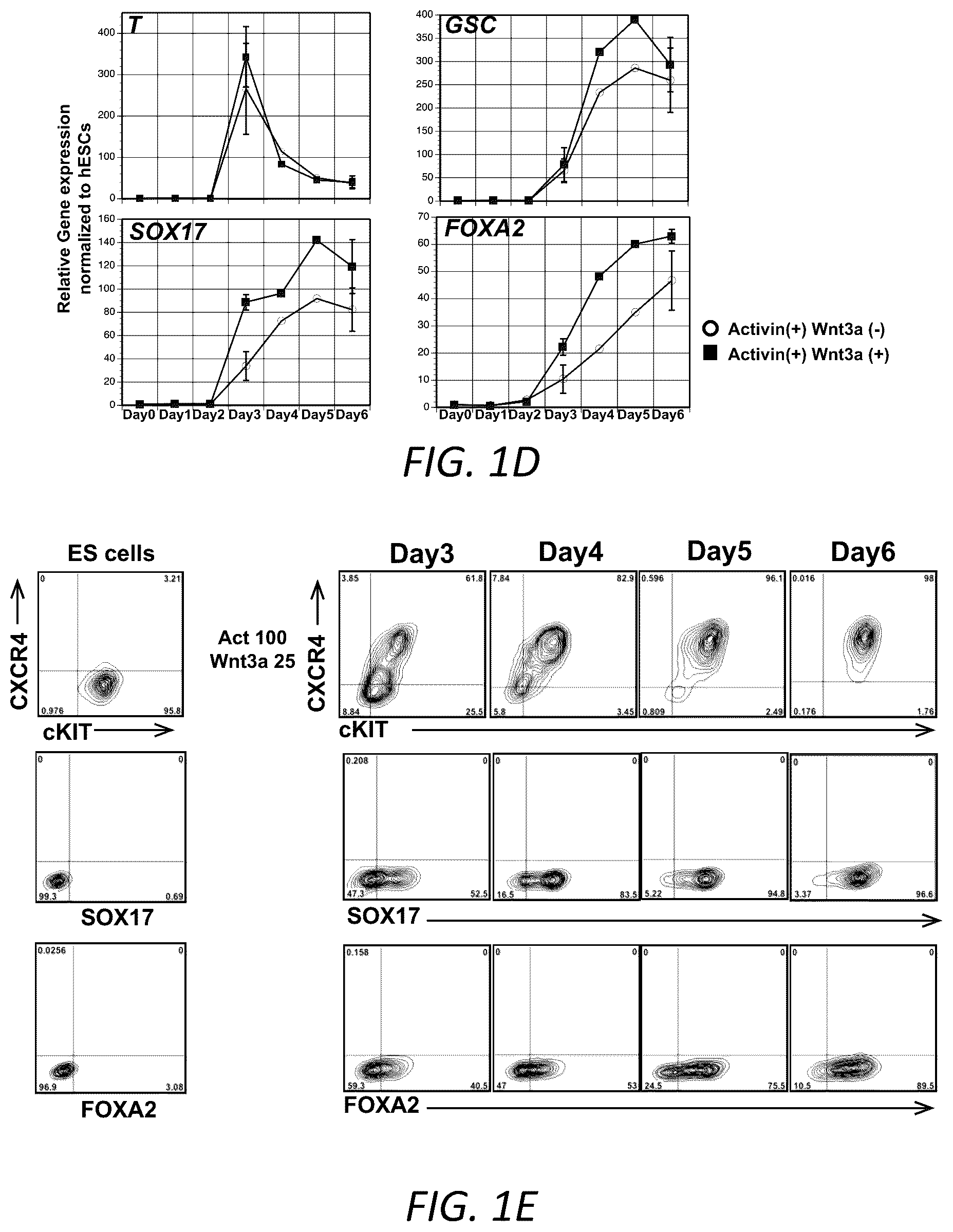 Patent US12129490 Figure 2 – Methods for generating hepatocytes and cholangiocytes from pluripotent stem cells