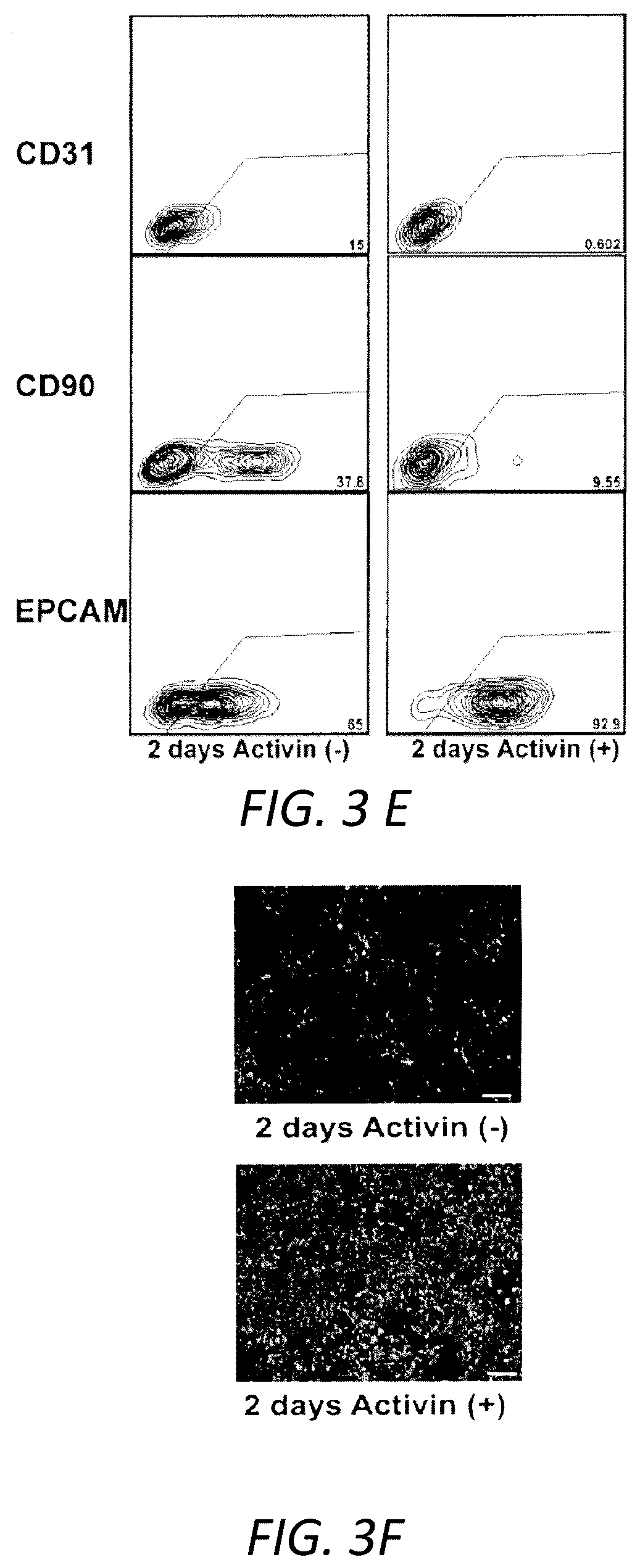 Patent US12129490 Figure 6 – Methods for generating hepatocytes and cholangiocytes from pluripotent stem cells