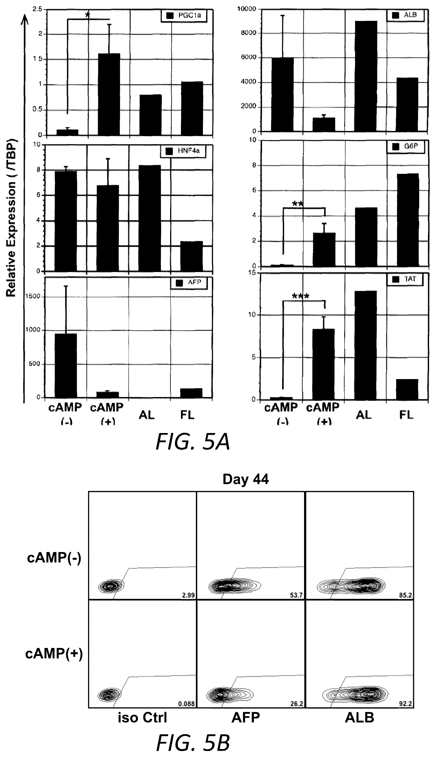 Patent US12129490 Figure 9 – Methods for generating hepatocytes and cholangiocytes from pluripotent stem cells