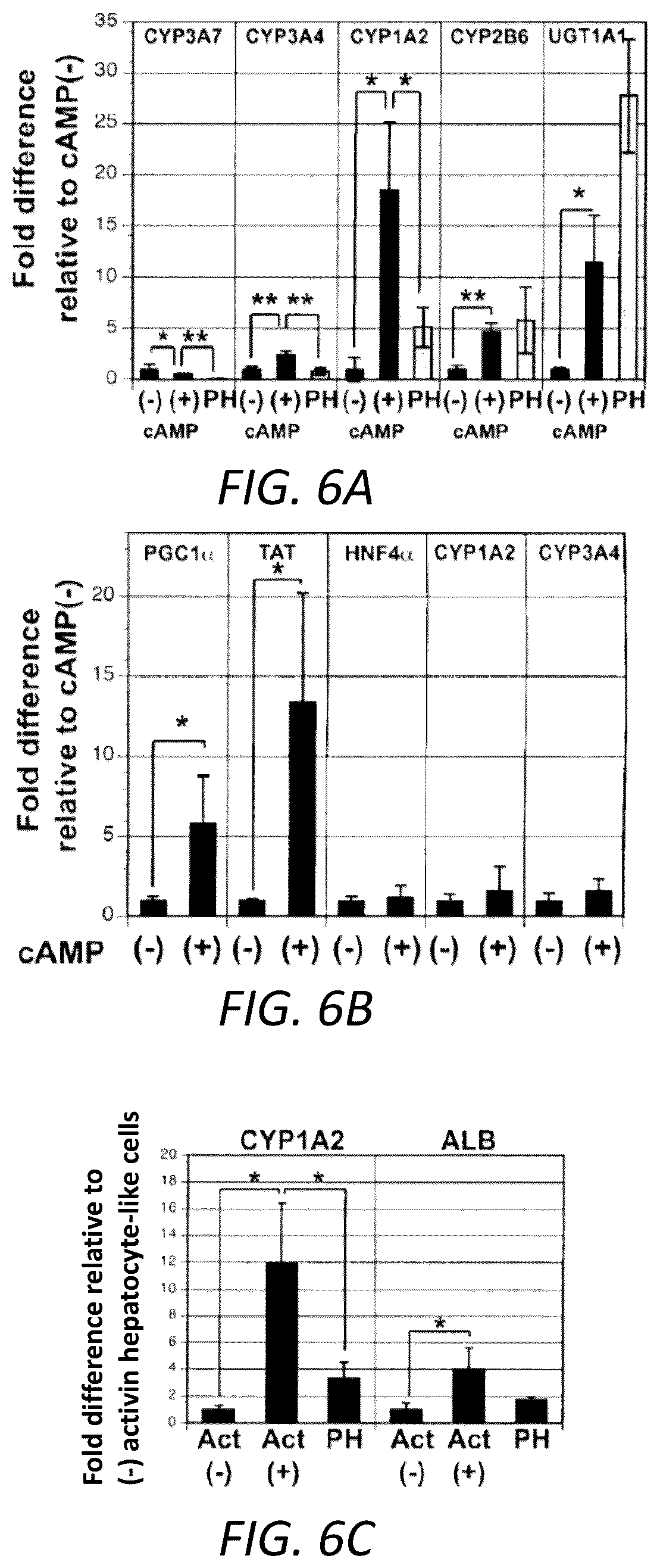 Patent US12129490 Figure 11 – Methods for generating hepatocytes and cholangiocytes from pluripotent stem cells