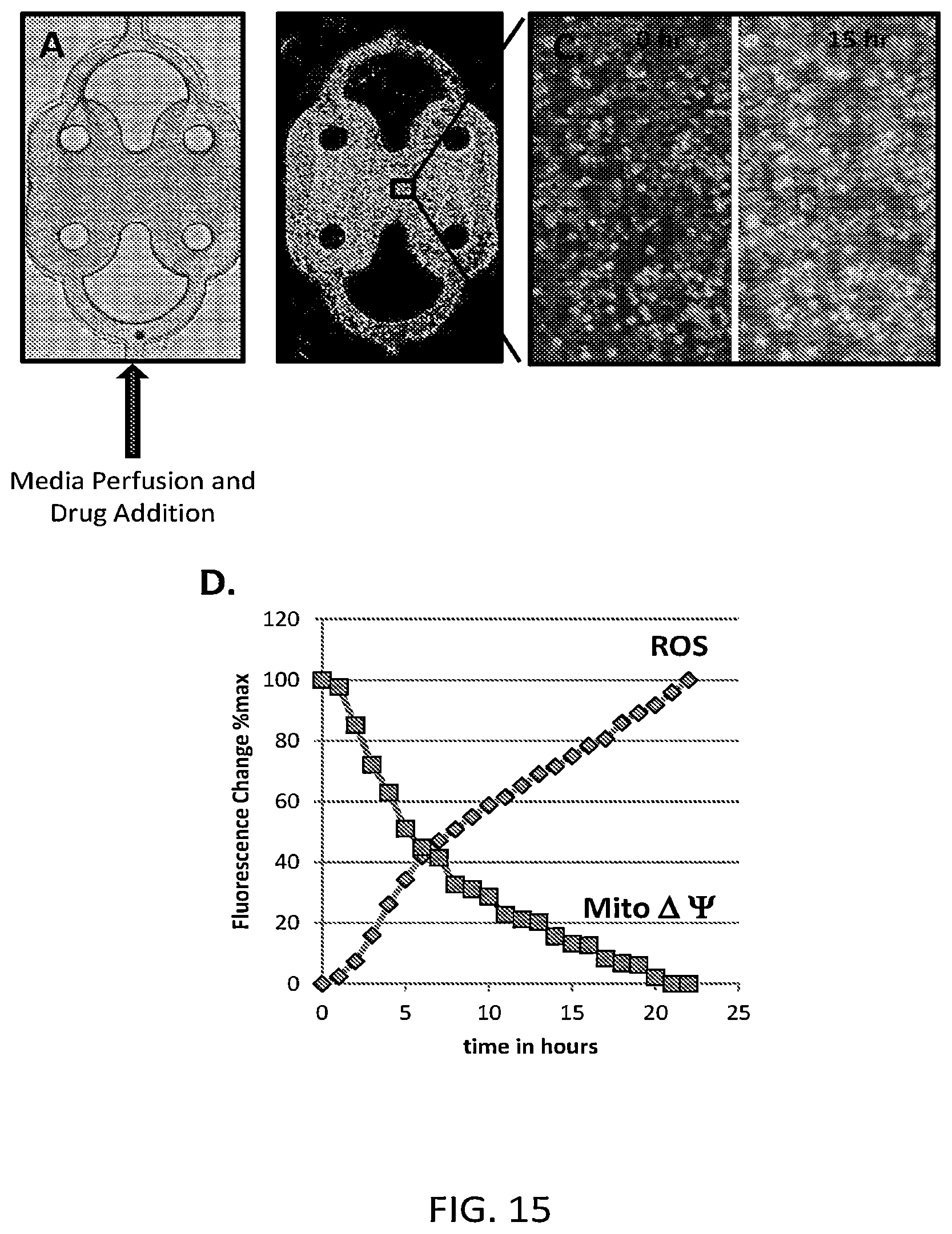 Patent US12129492 Figure 15 – Human liver microphysiology platform and self assembly liver acinus model and methods of their use