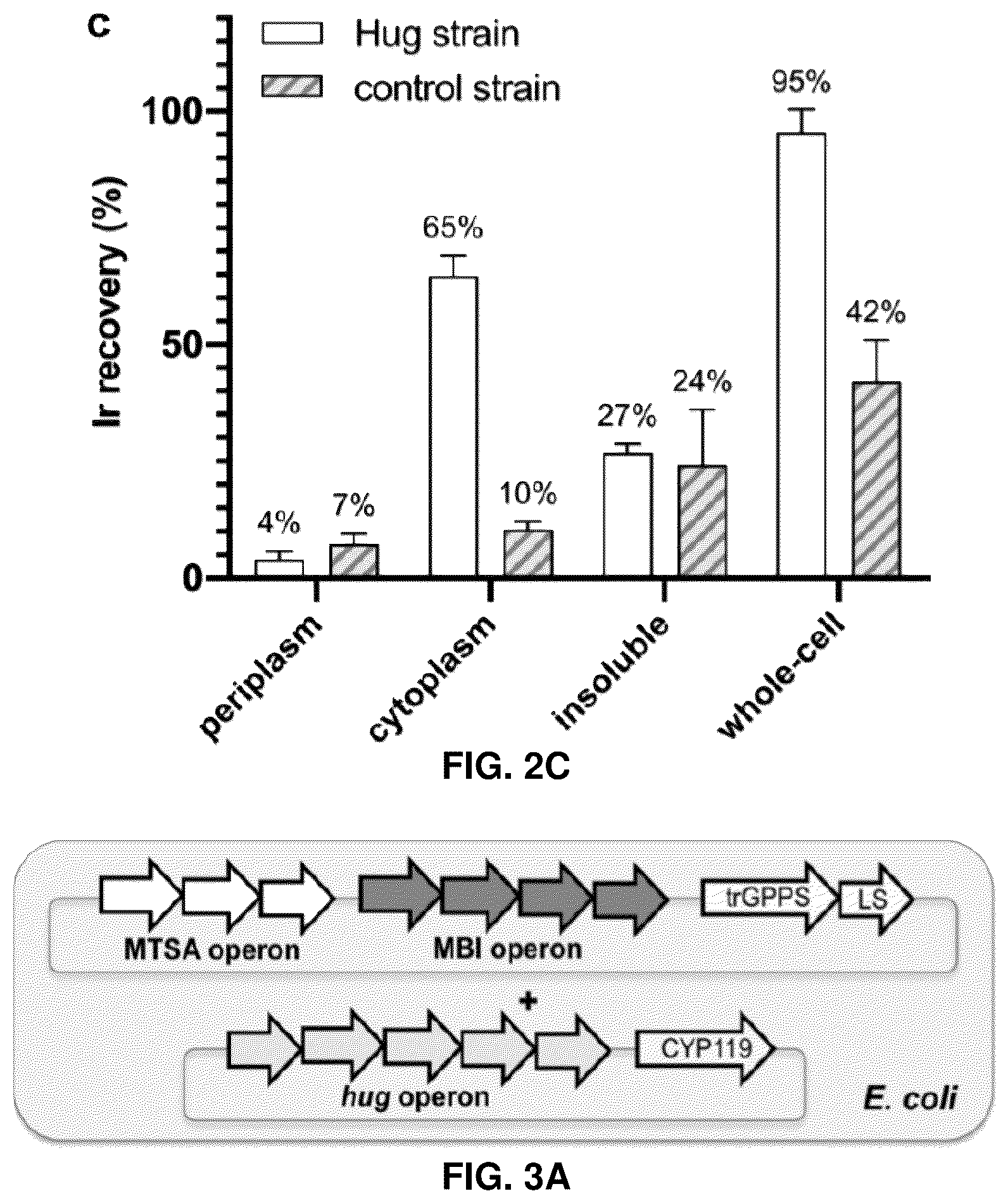 Patent US12129493 Figure 3 – Host cells and methods useful for producing unnatural terpenoids using a novel artificial metalloenzyme
