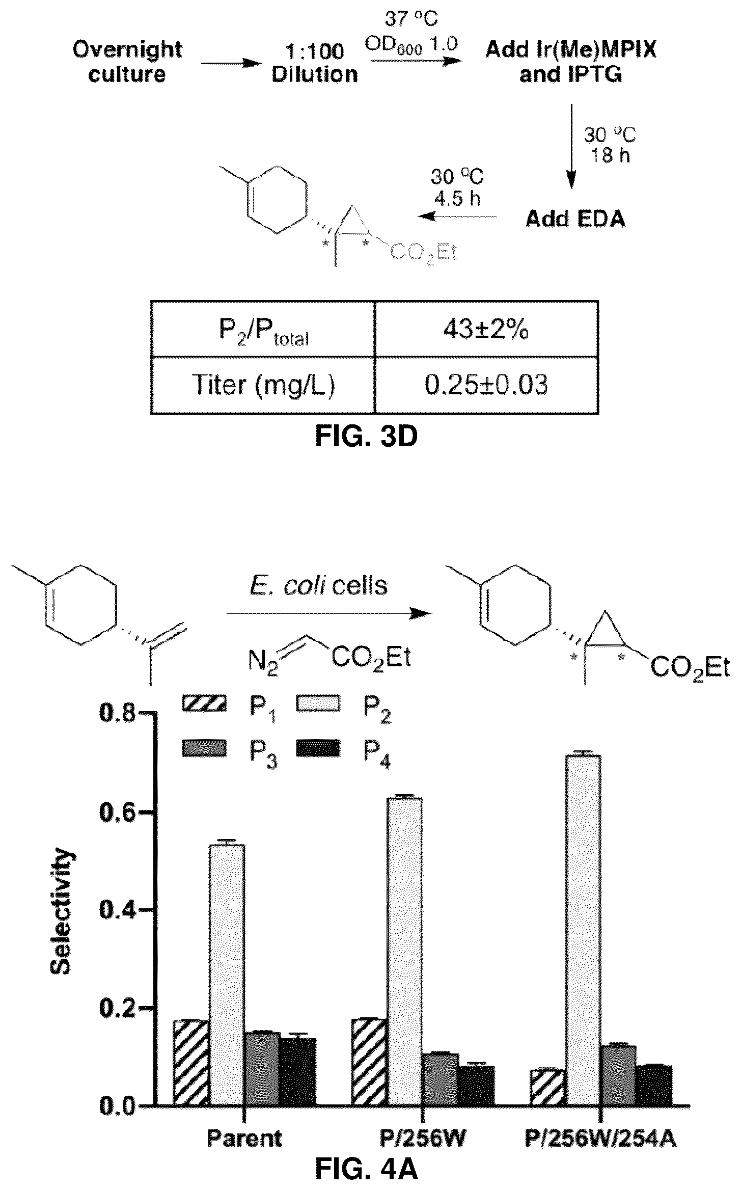 Patent US12129493 Figure 5 – Host cells and methods useful for producing unnatural terpenoids using a novel artificial metalloenzyme