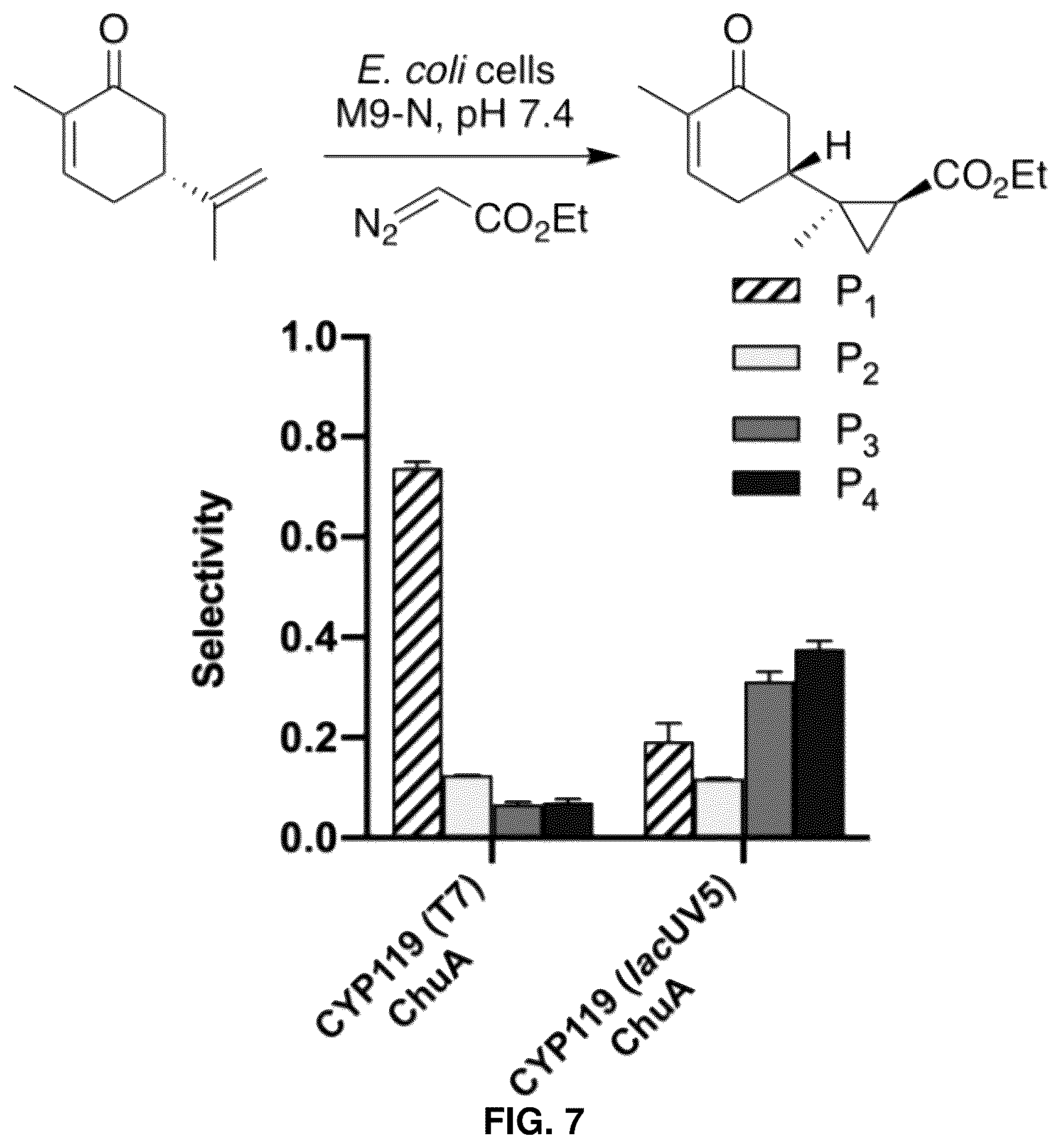 Patent US12129493 Figure 11 – Host cells and methods useful for producing unnatural terpenoids using a novel artificial metalloenzyme