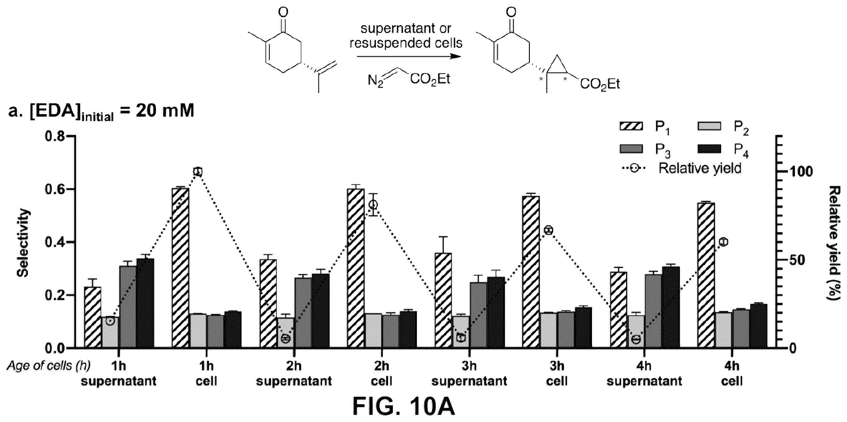 Patent US12129493 Figure 15 – Host cells and methods useful for producing unnatural terpenoids using a novel artificial metalloenzyme