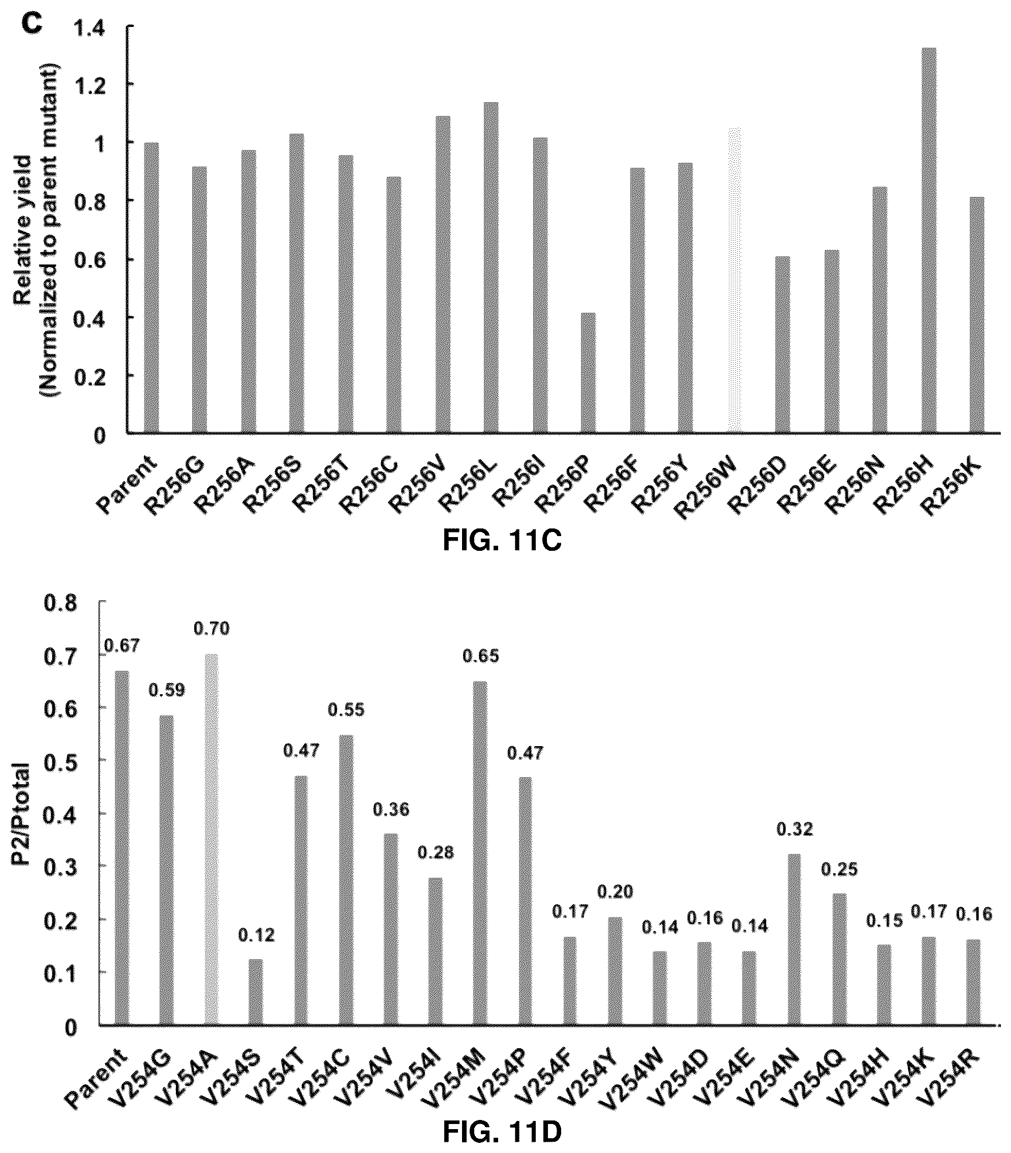 Patent US12129493 Figure 18 – Host cells and methods useful for producing unnatural terpenoids using a novel artificial metalloenzyme