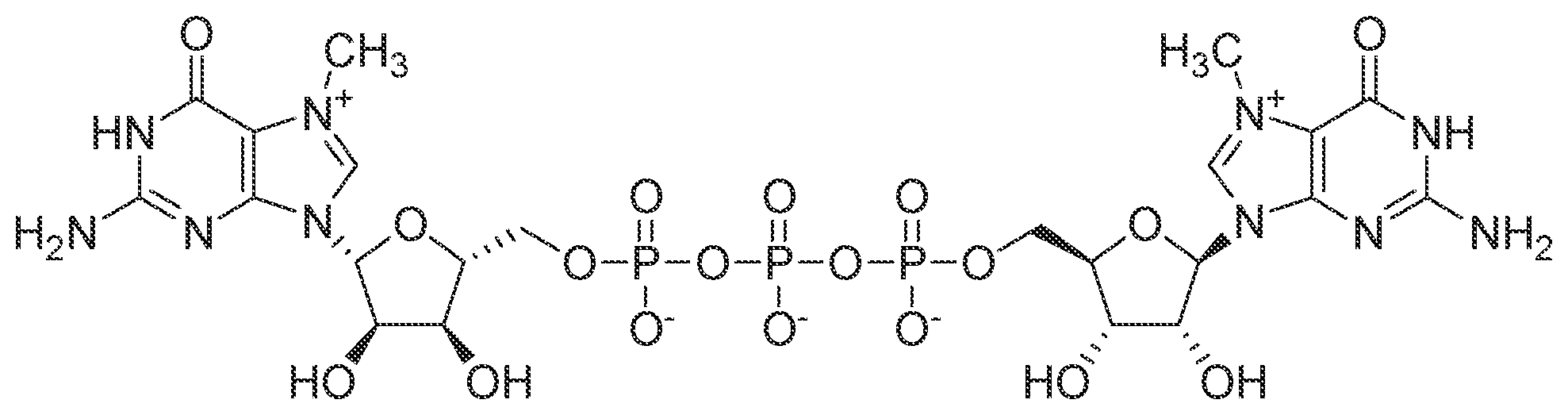Patent US12129494 Figure 1 – T7 RNA polymerase variants