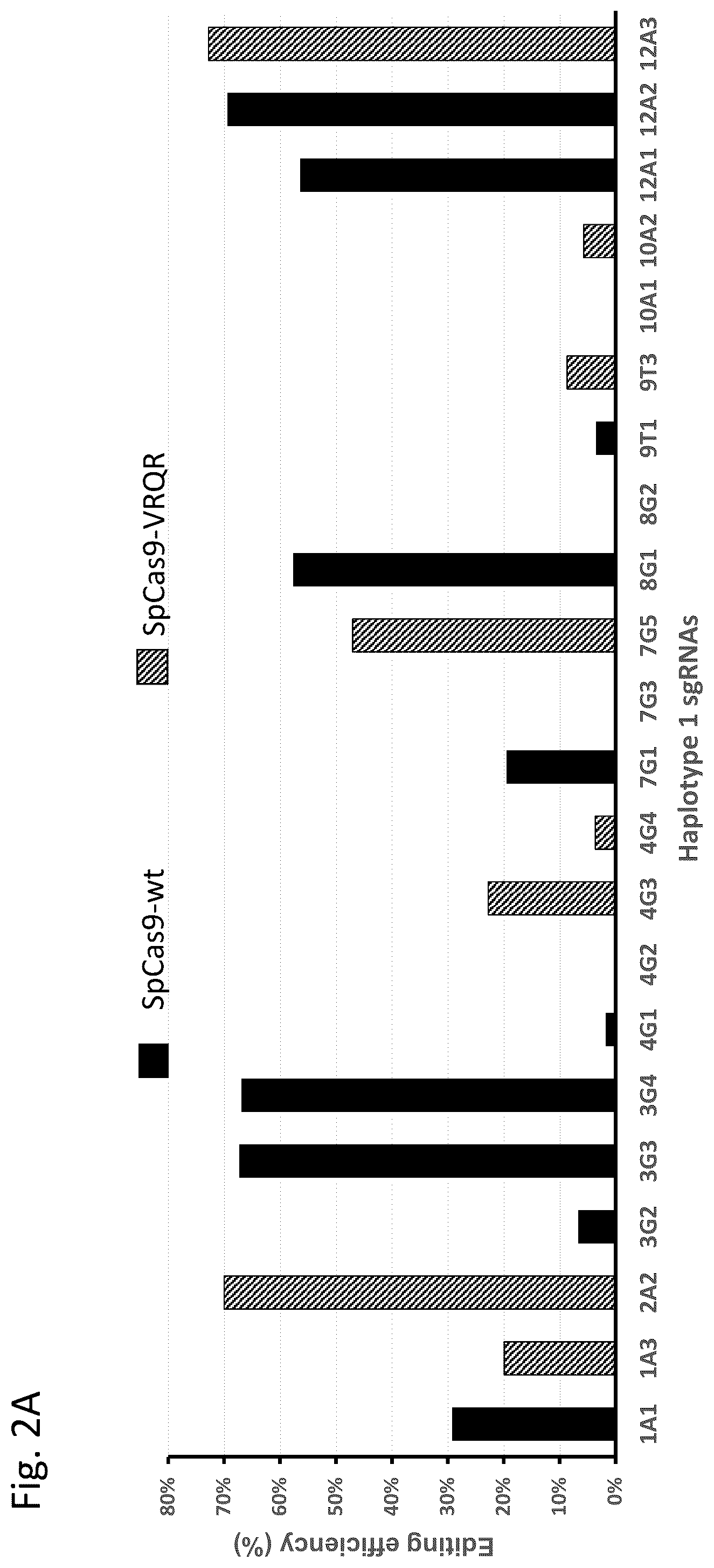 Patent US12129496 Figure 2 – Haplotype-based treatment of RP1 associated retinal degenerations