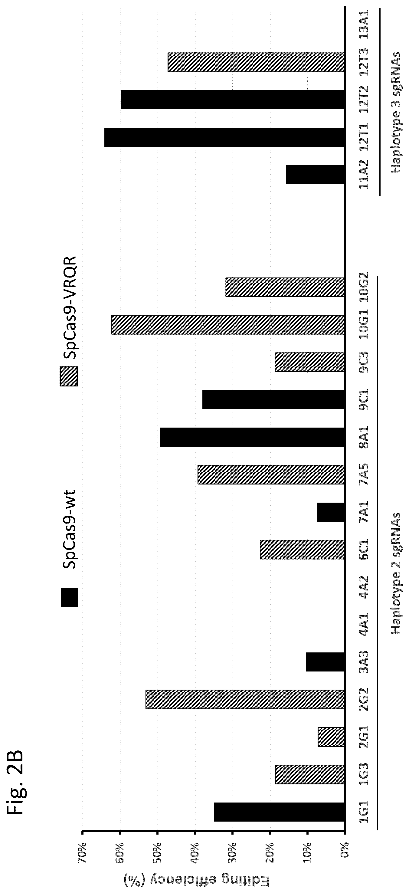 Patent US12129496 Figure 3 – Haplotype-based treatment of RP1 associated retinal degenerations