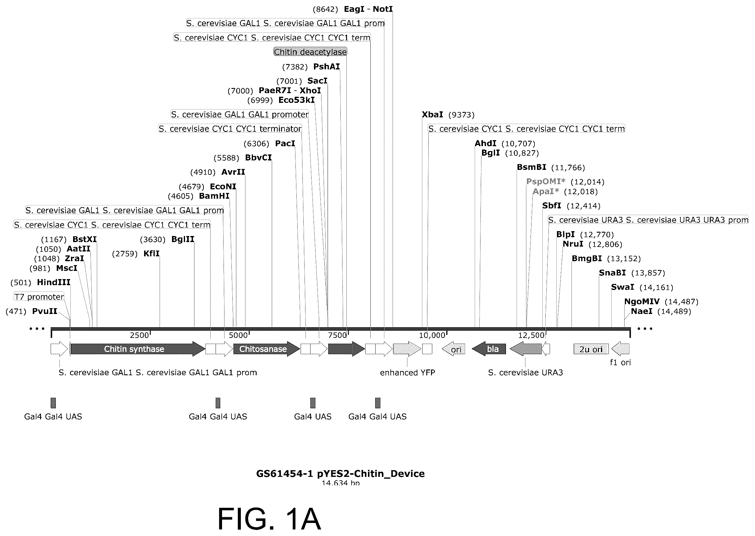 Patent US12129500 Figure 1 – Methods for producing a polyactive carbohydrate and applications thereof