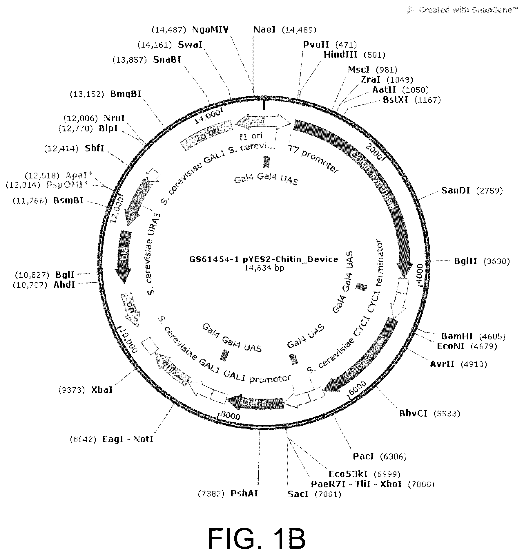Patent US12129500 Figure 2 – Methods for producing a polyactive carbohydrate and applications thereof