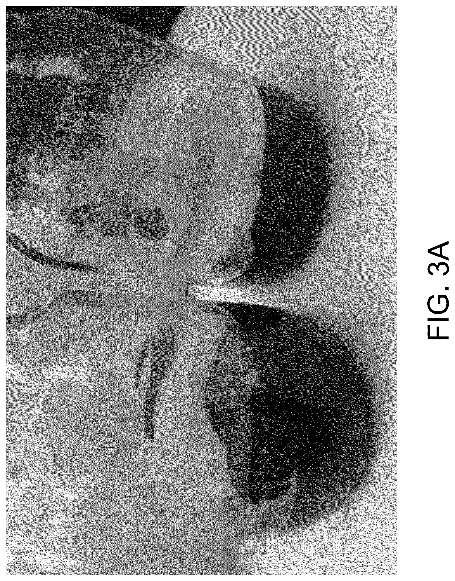 Patent US12129500 Figure 5 – Methods for producing a polyactive carbohydrate and applications thereof