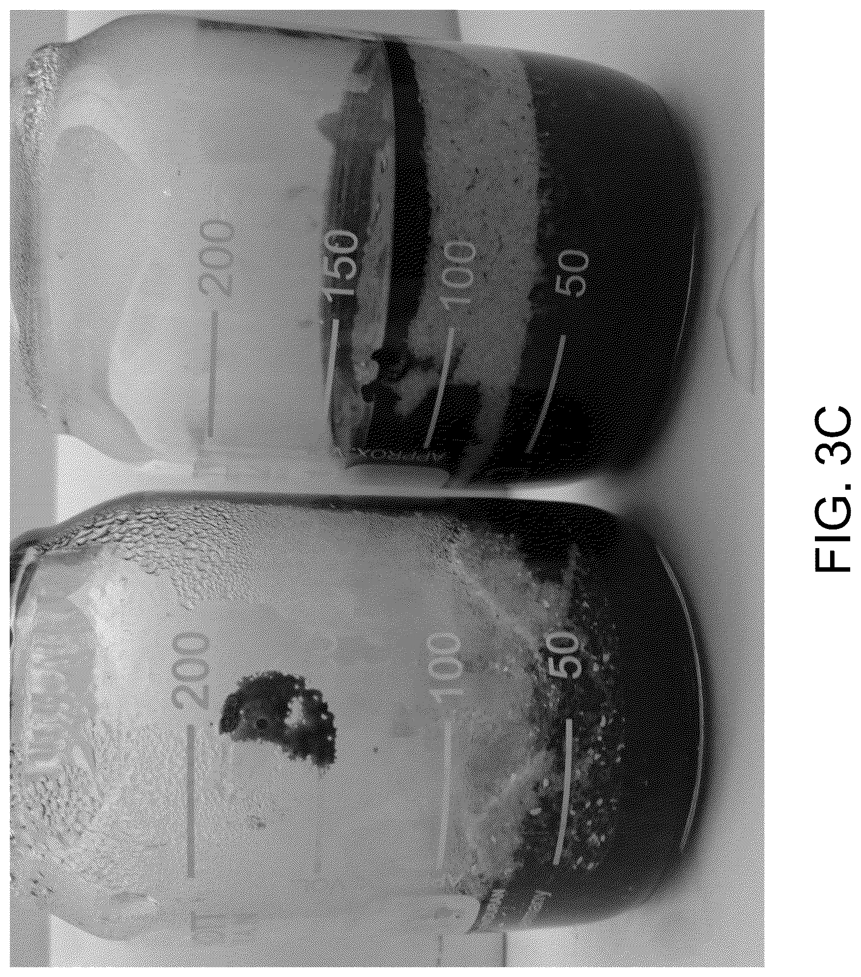 Patent US12129500 Figure 7 – Methods for producing a polyactive carbohydrate and applications thereof