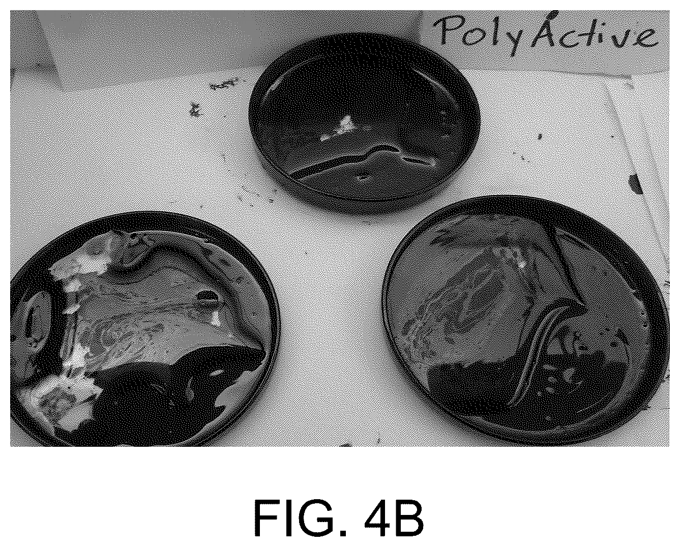 Patent US12129500 Figure 10 – Methods for producing a polyactive carbohydrate and applications thereof