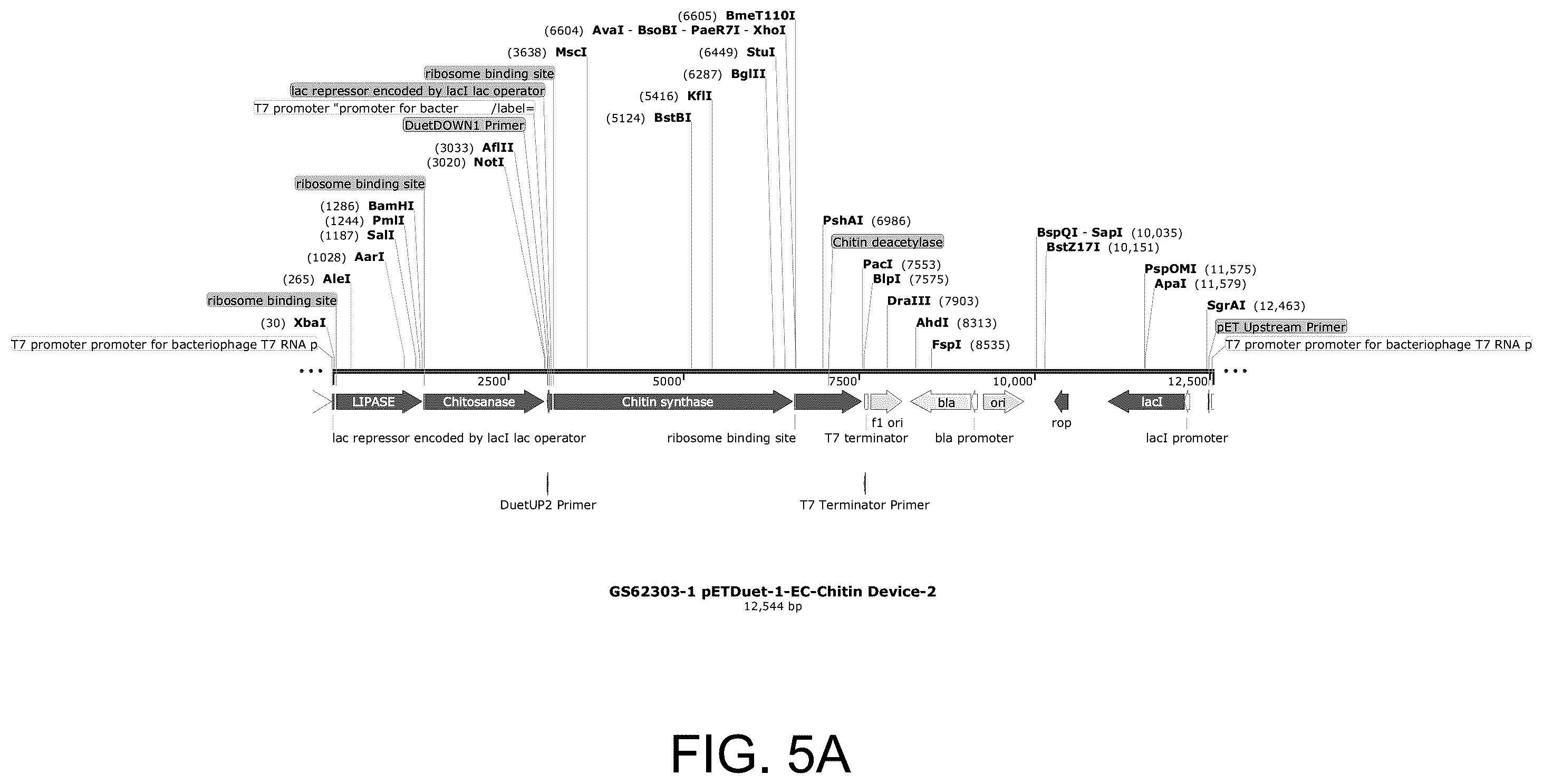 Patent US12129500 Figure 12 – Methods for producing a polyactive carbohydrate and applications thereof